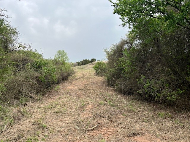 35 Ac Two Bush Road Perrin TX 76486