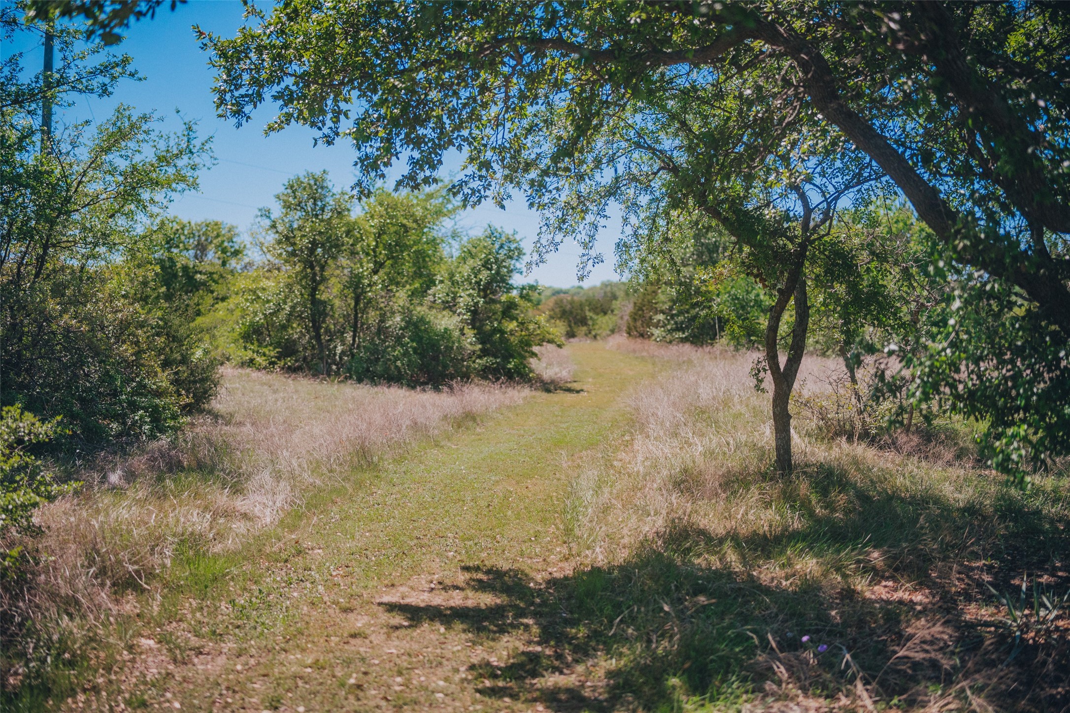 1471 Chapman Court Annetta TX 76008