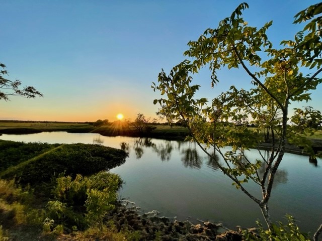 Tbd Cr 358 Gause TX 77857