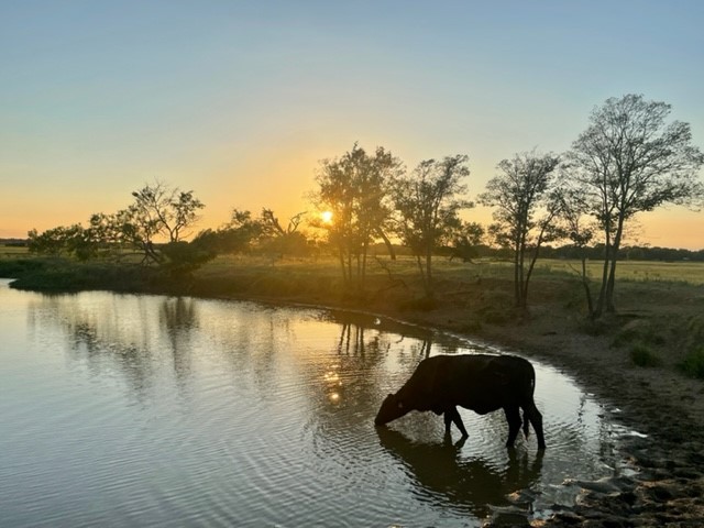 Tbd Cr 358 Gause TX 77857