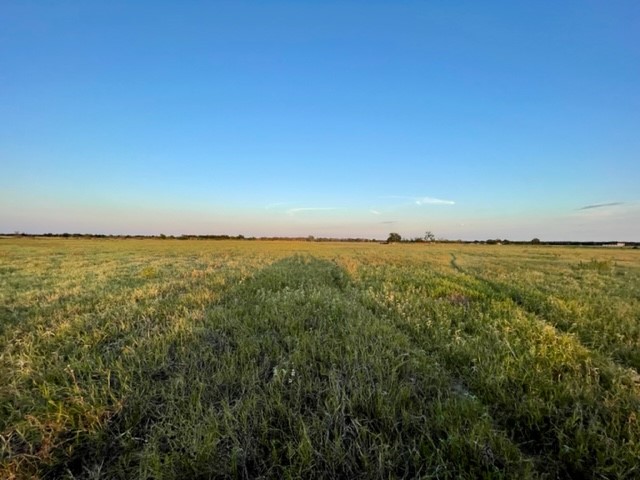 Tbd Cr 358 Gause TX 77857