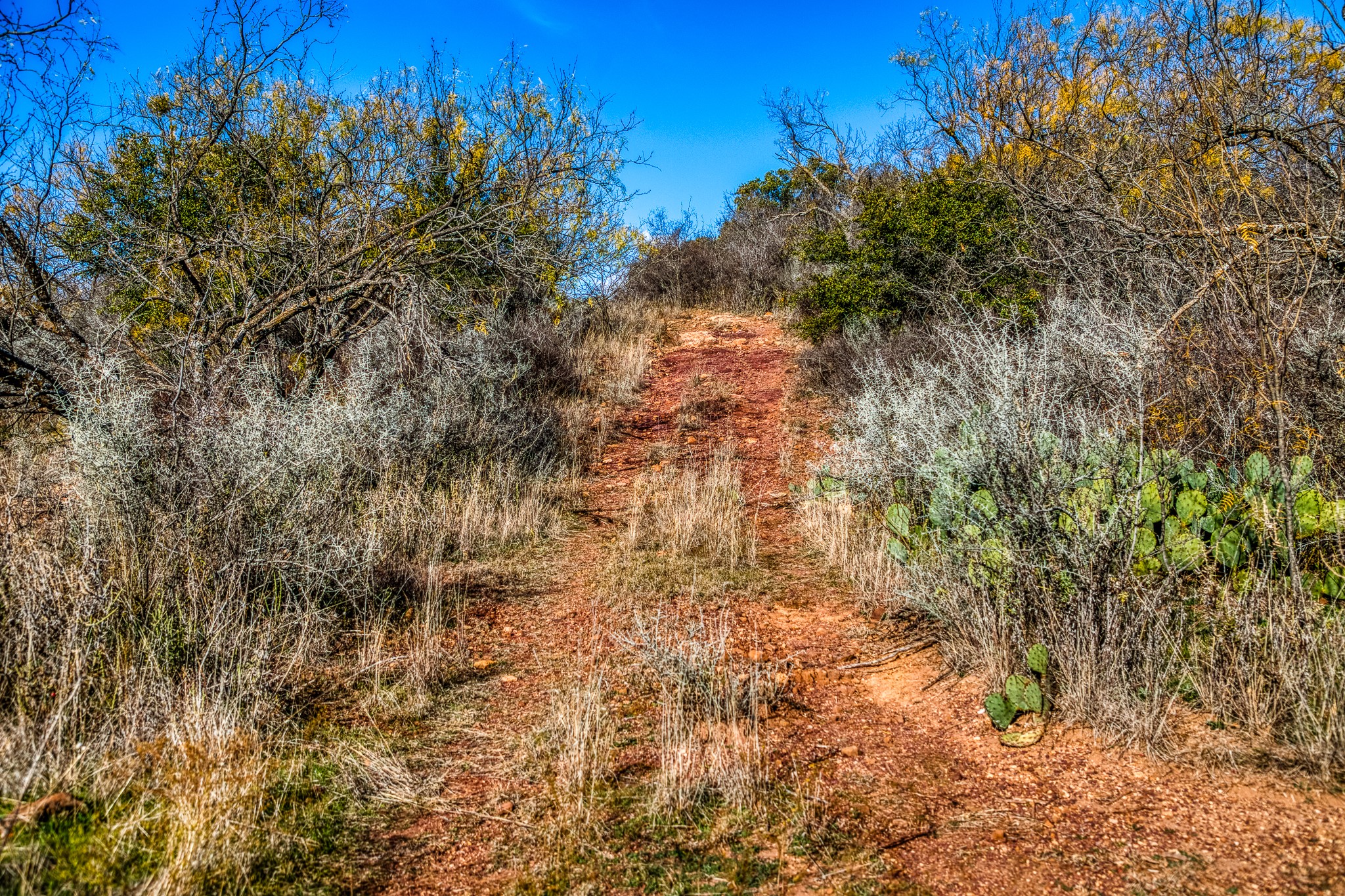515 Reeves Road Graham TX 76450