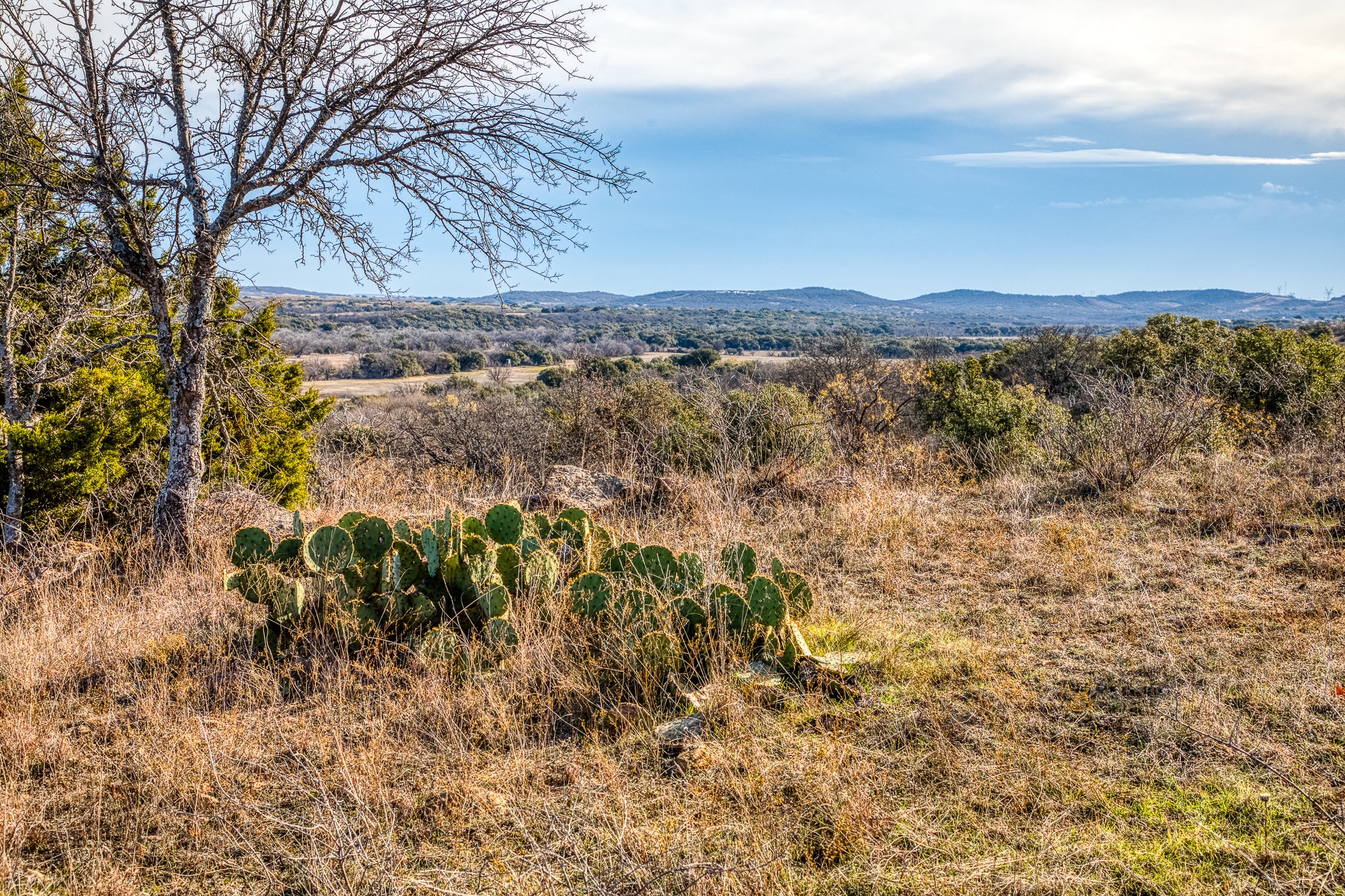 515 Reeves Road Graham TX 76450