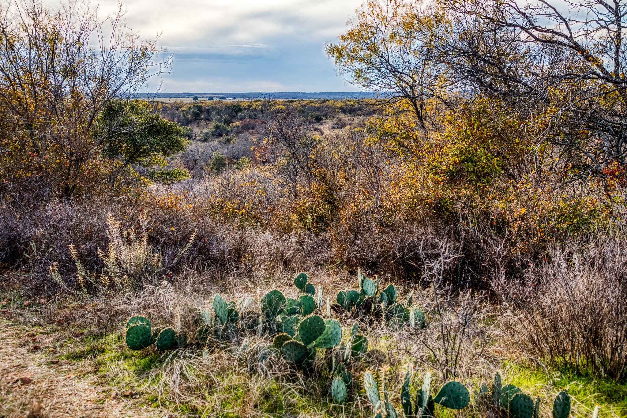 515 Reeves Road Graham TX 76450