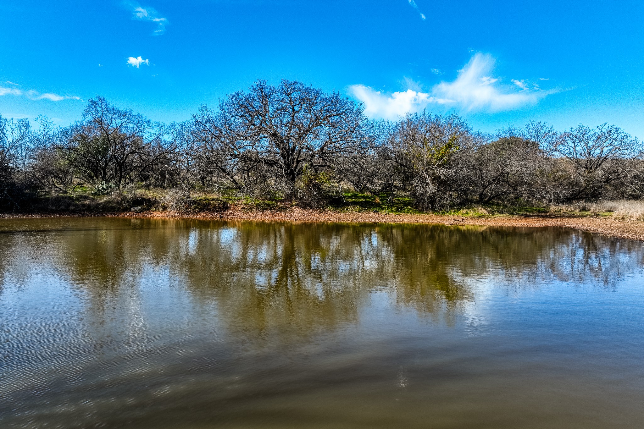 515 Reeves Road Graham TX 76450