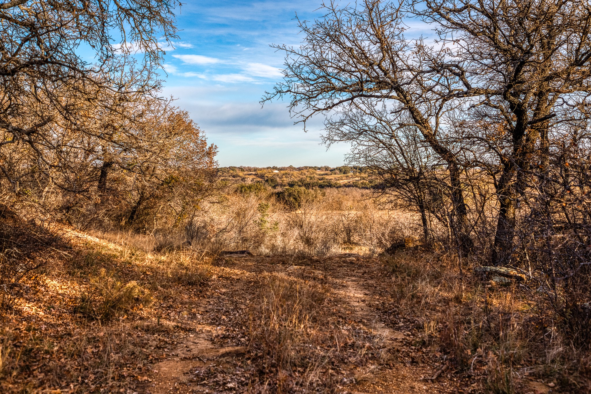 515 Reeves Road Graham TX 76450