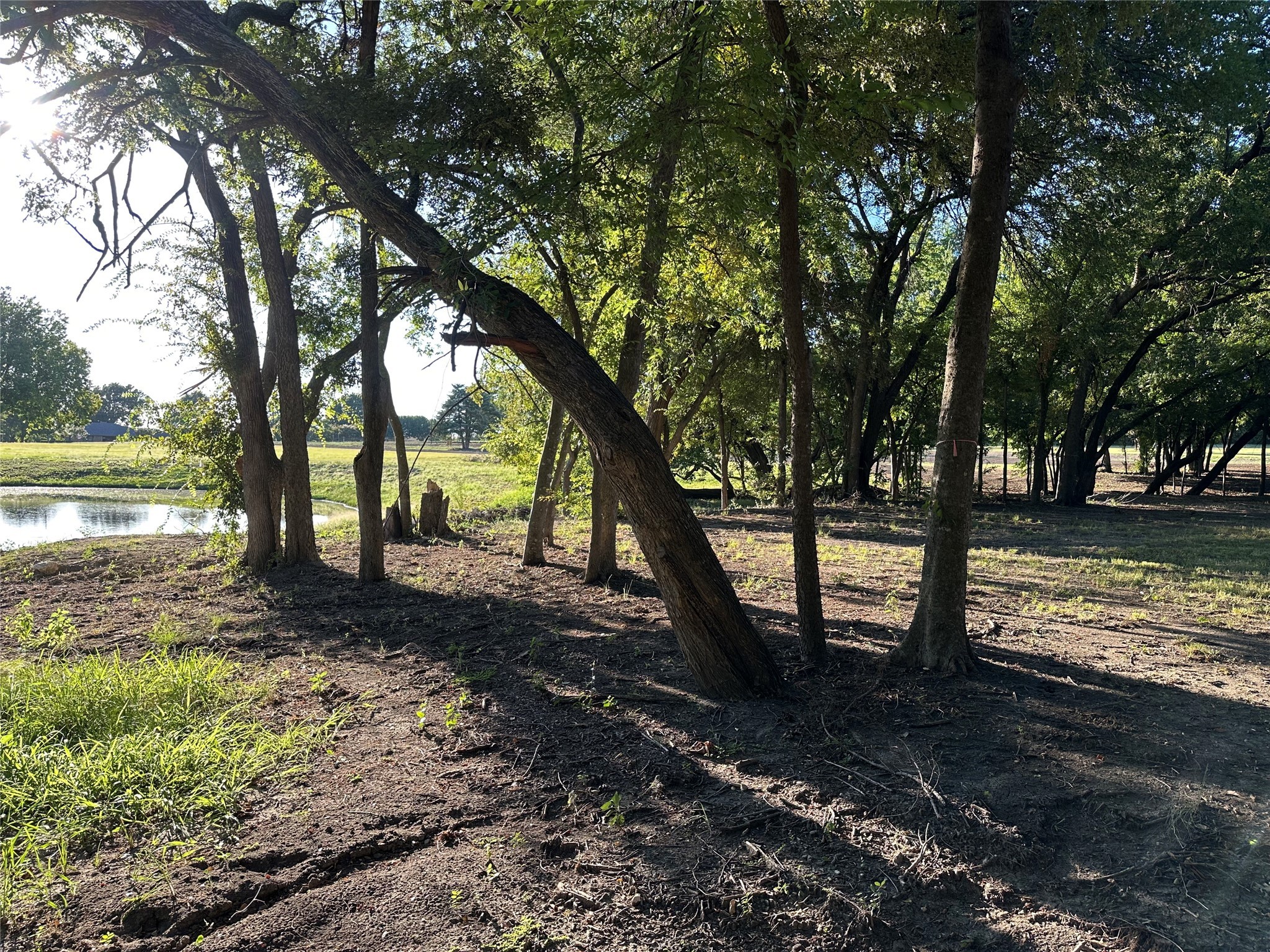 1204 Smirl Heath TX 75032