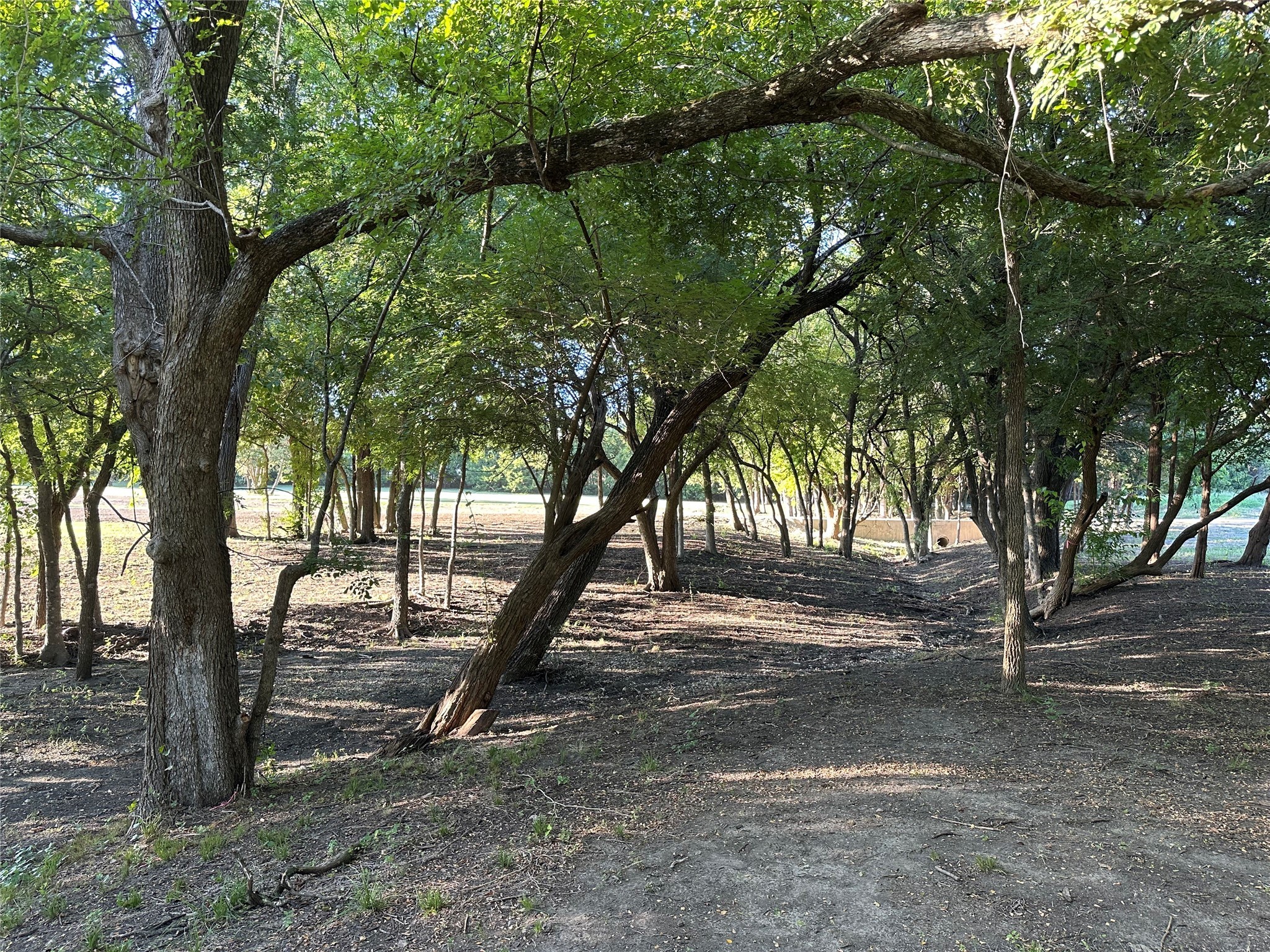 1204 Smirl Heath TX 75032