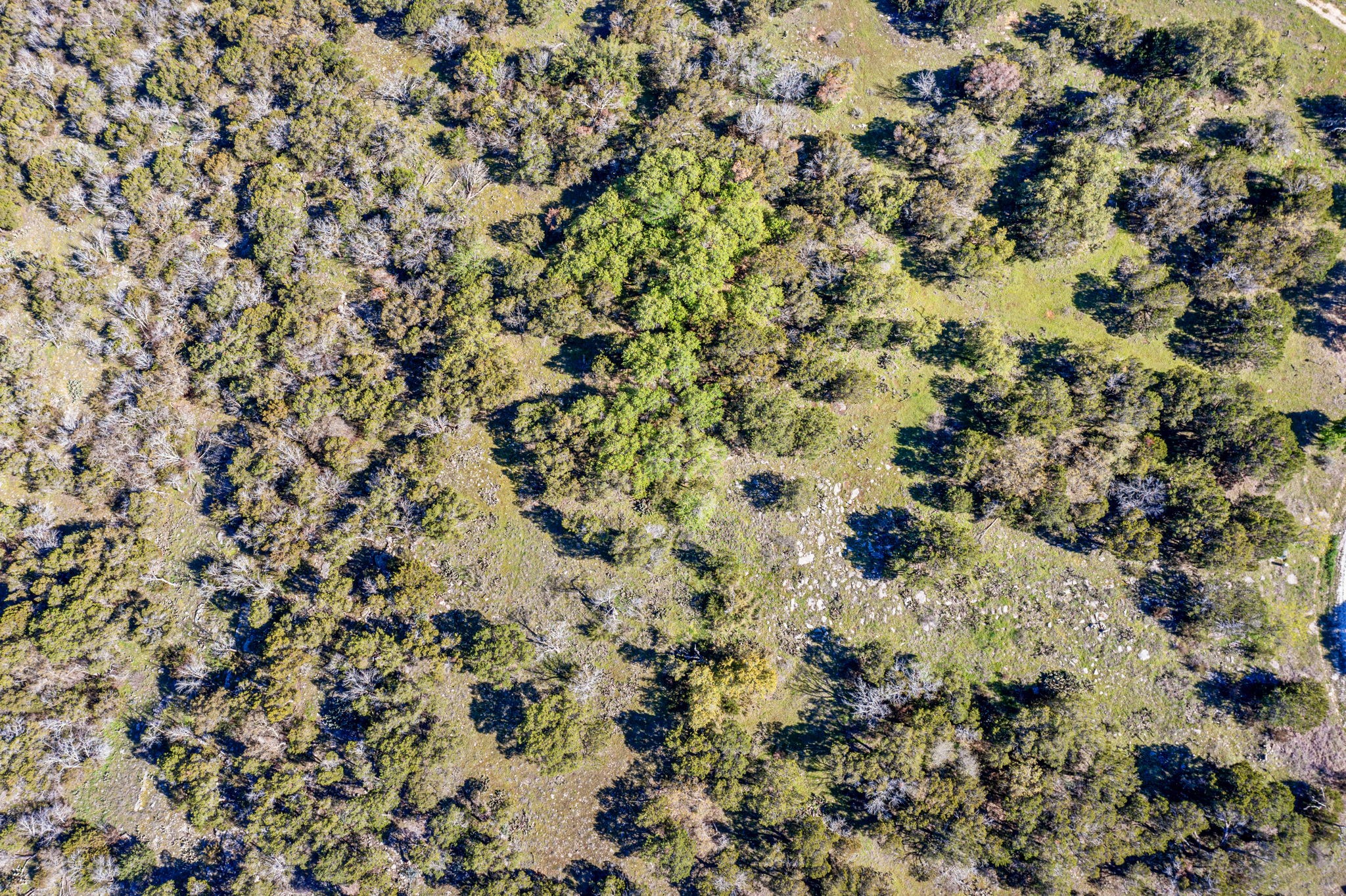 1021 Lakeside Lane Graford TX 76449