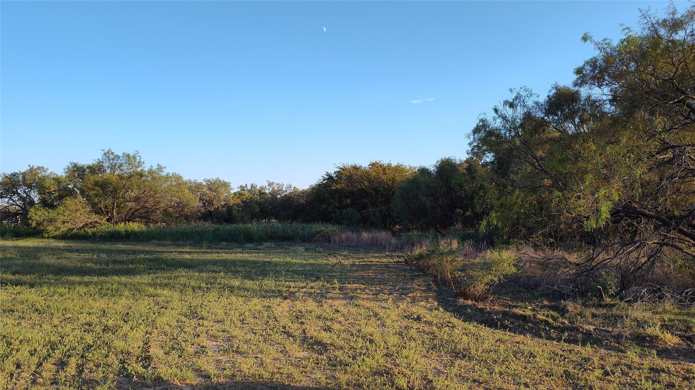 5428 Cr 364 Anson TX 79501