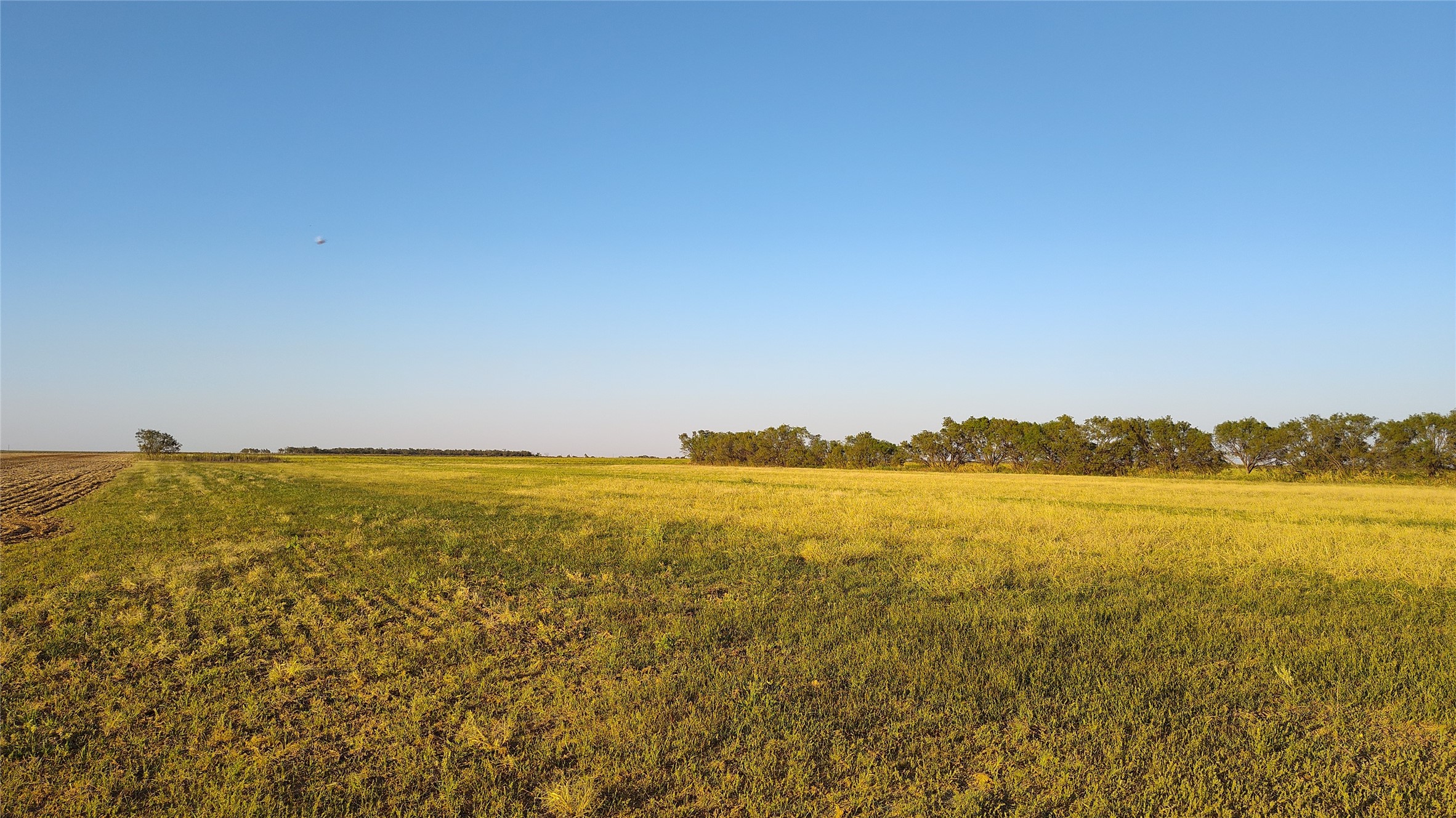 5428 Cr 364 Anson TX 79501