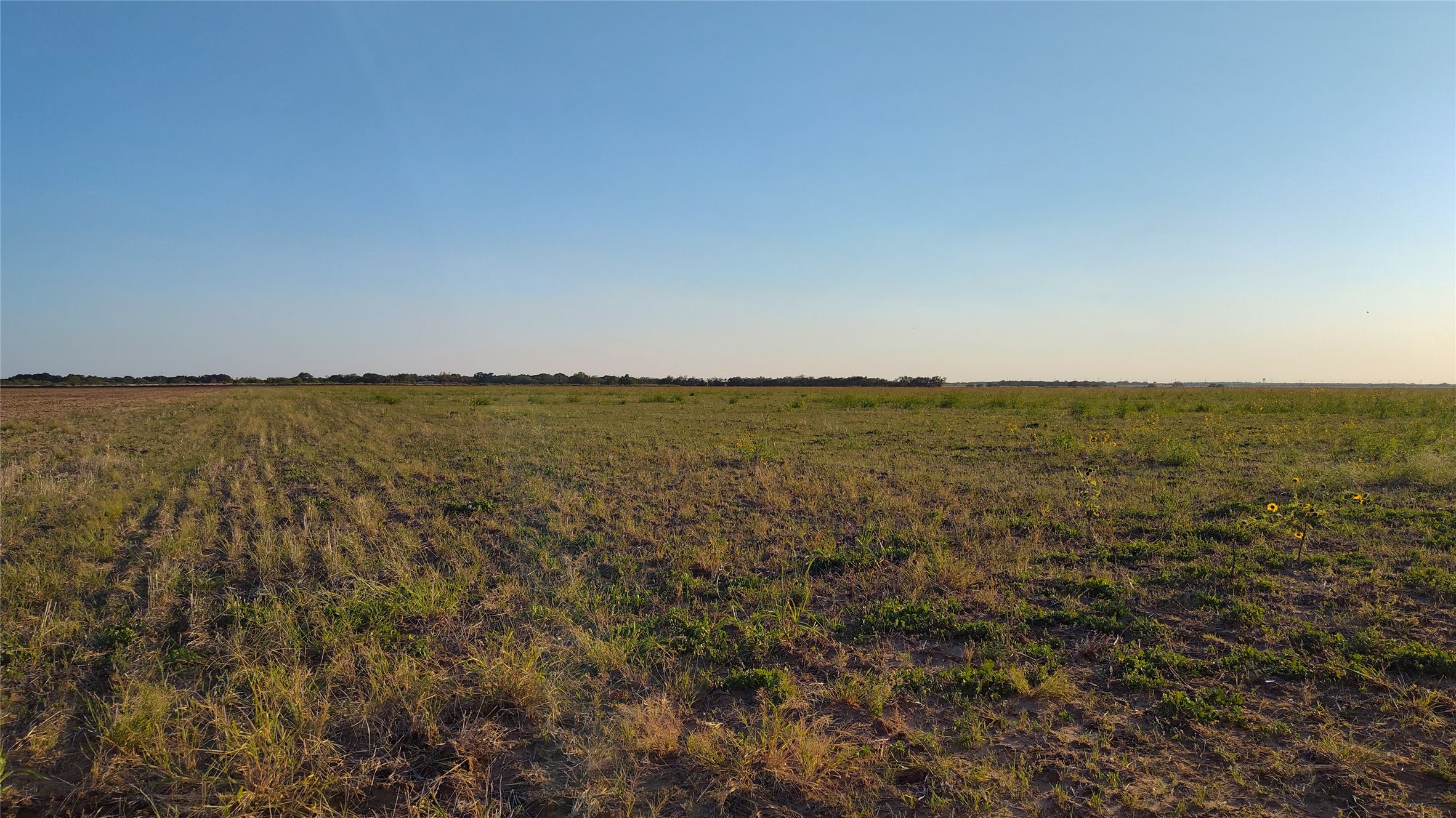 5428 Cr 364 Anson TX 79501