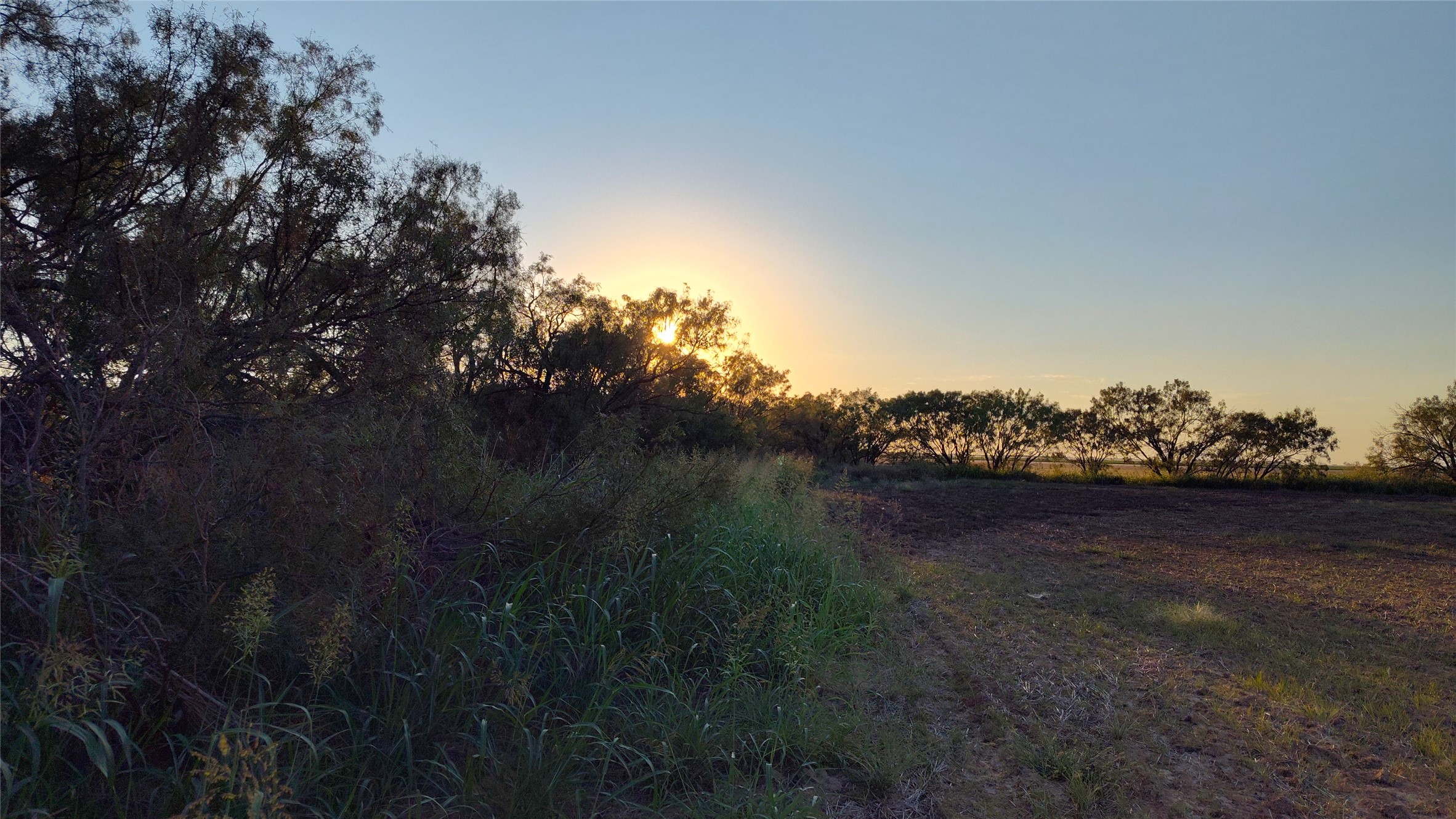 5428 Cr 364 Anson TX 79501