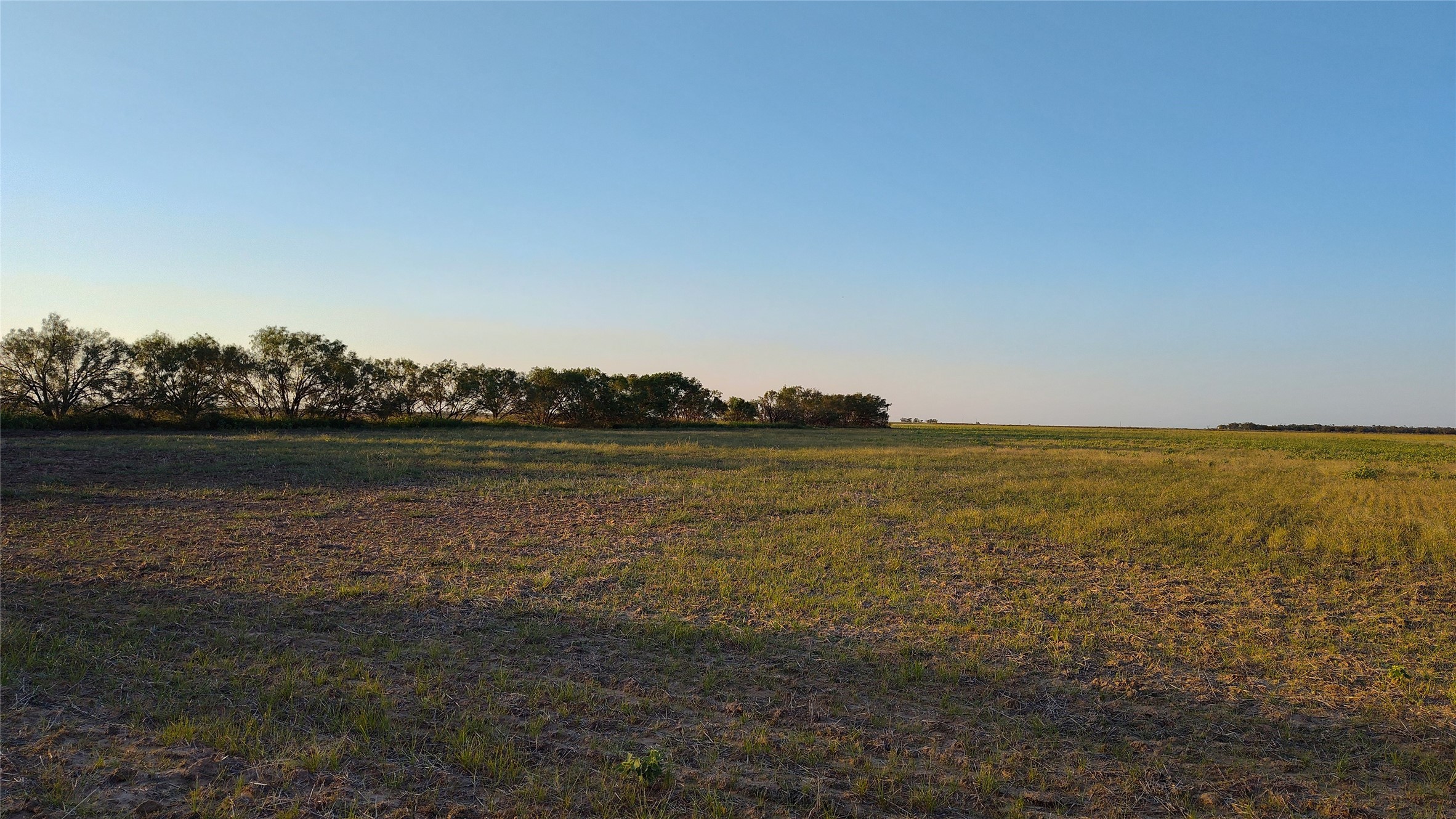 5428 Cr 364 Anson TX 79501