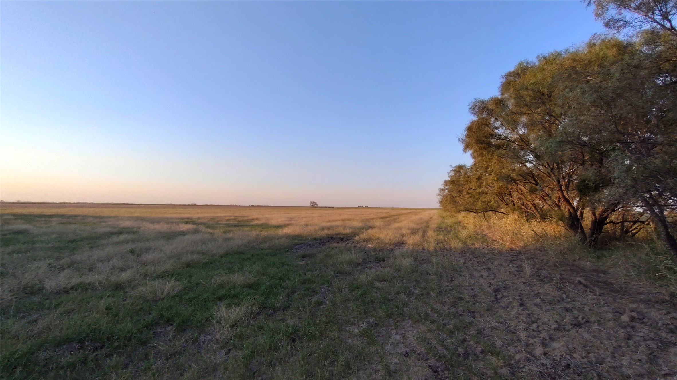 5428 Cr 364 Anson TX 79501
