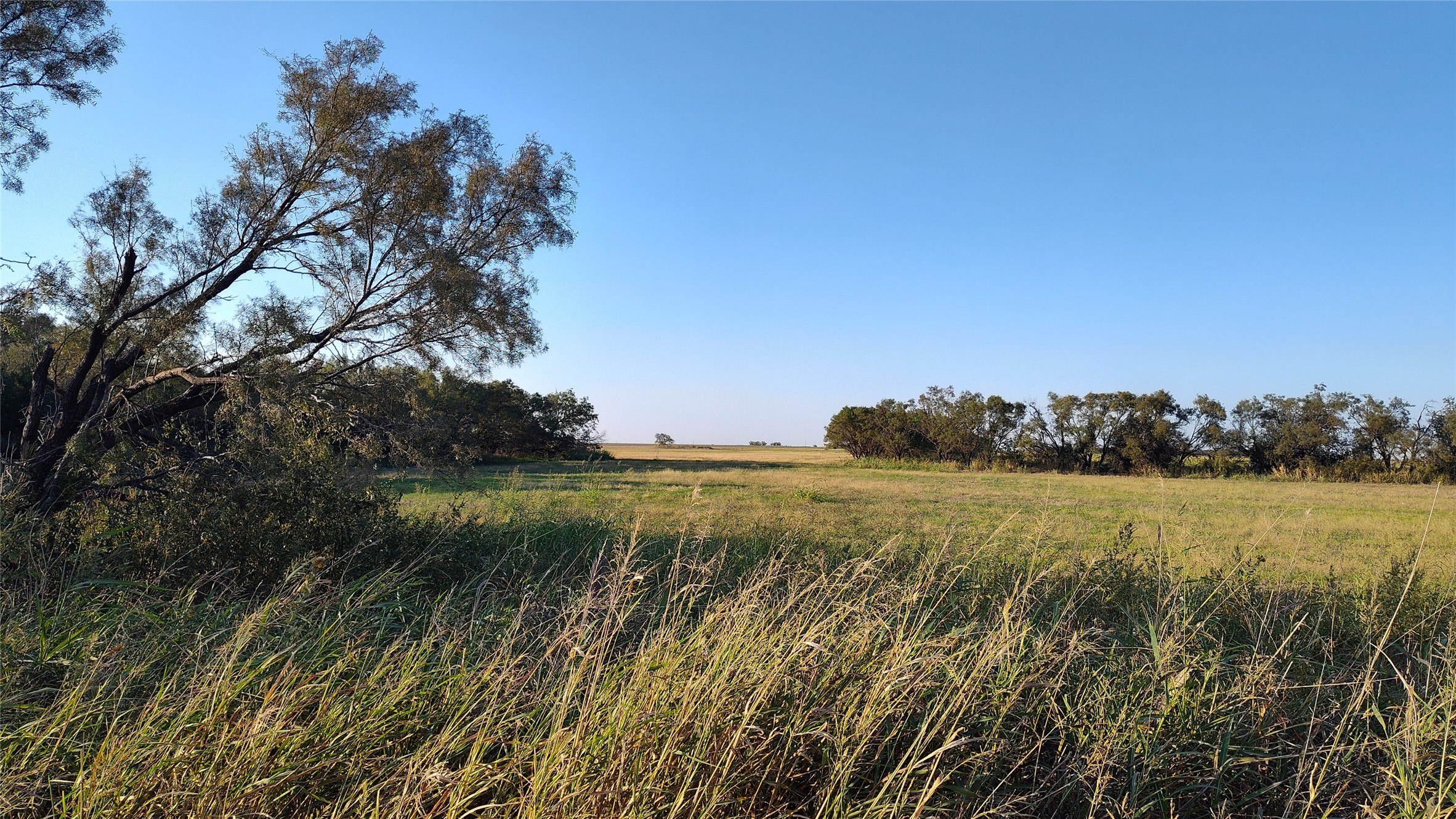 5428 Cr 364 Anson TX 79501