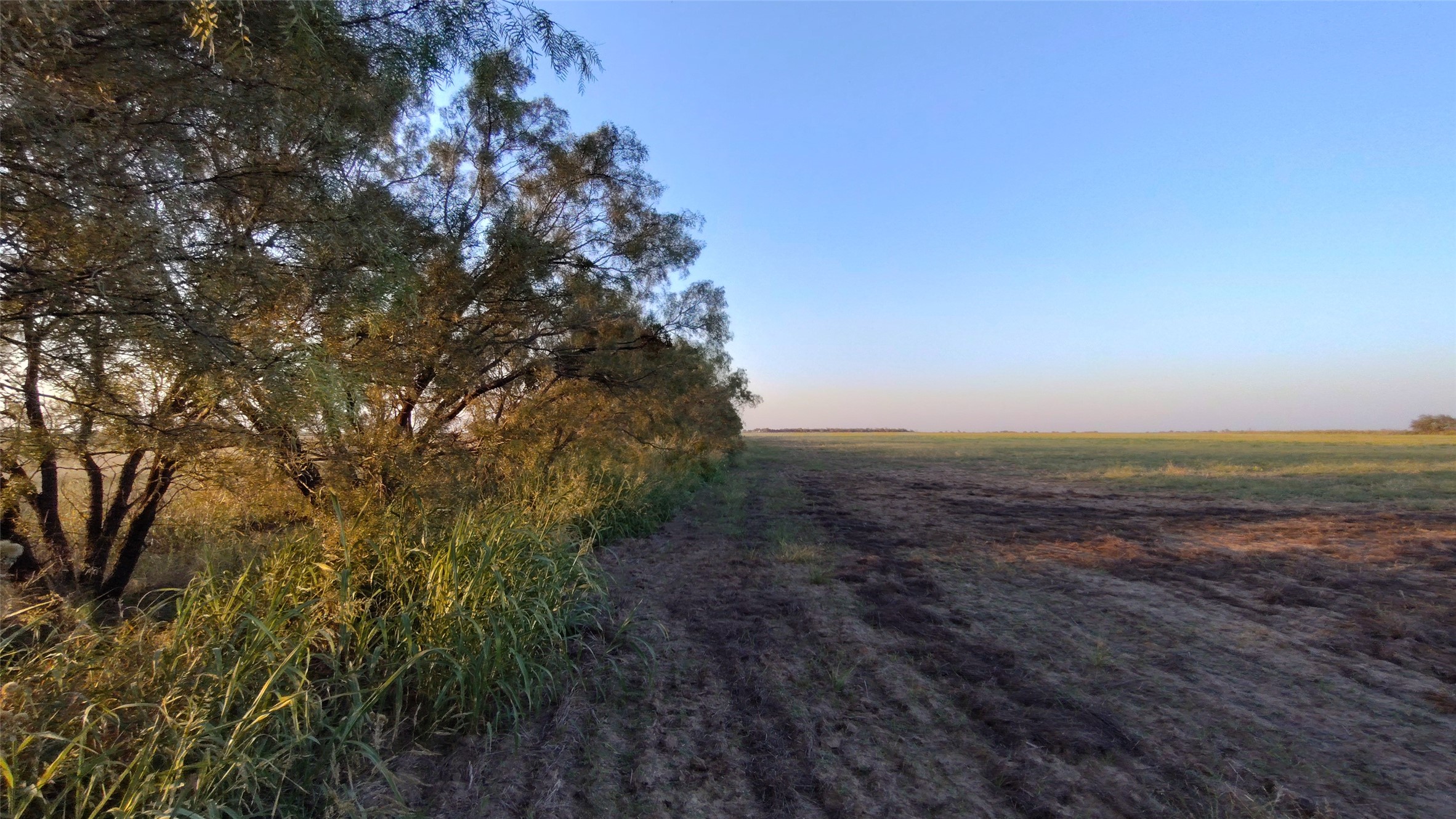 5428 Cr 364 Anson TX 79501