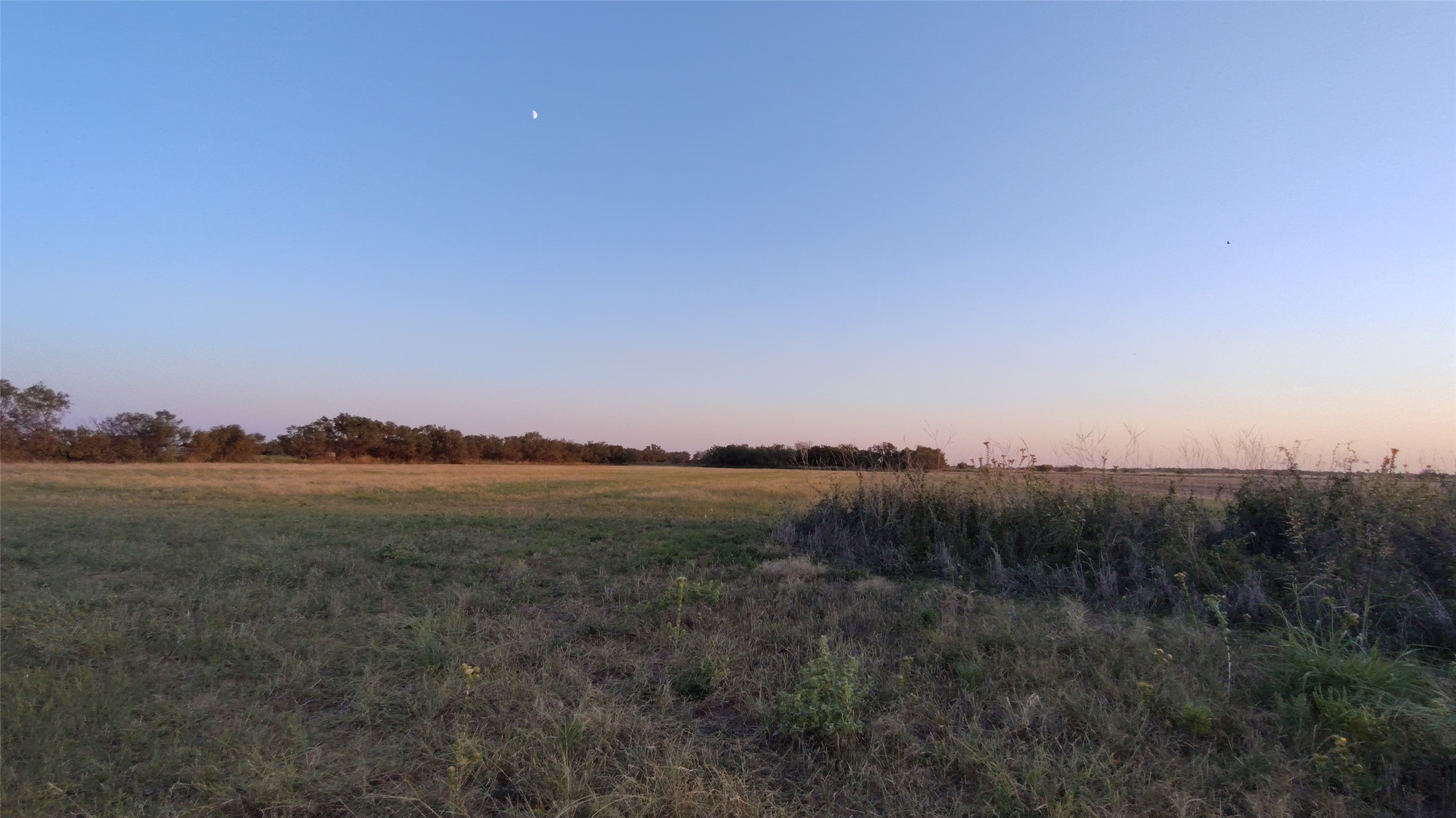 5428 Cr 364 Anson TX 79501