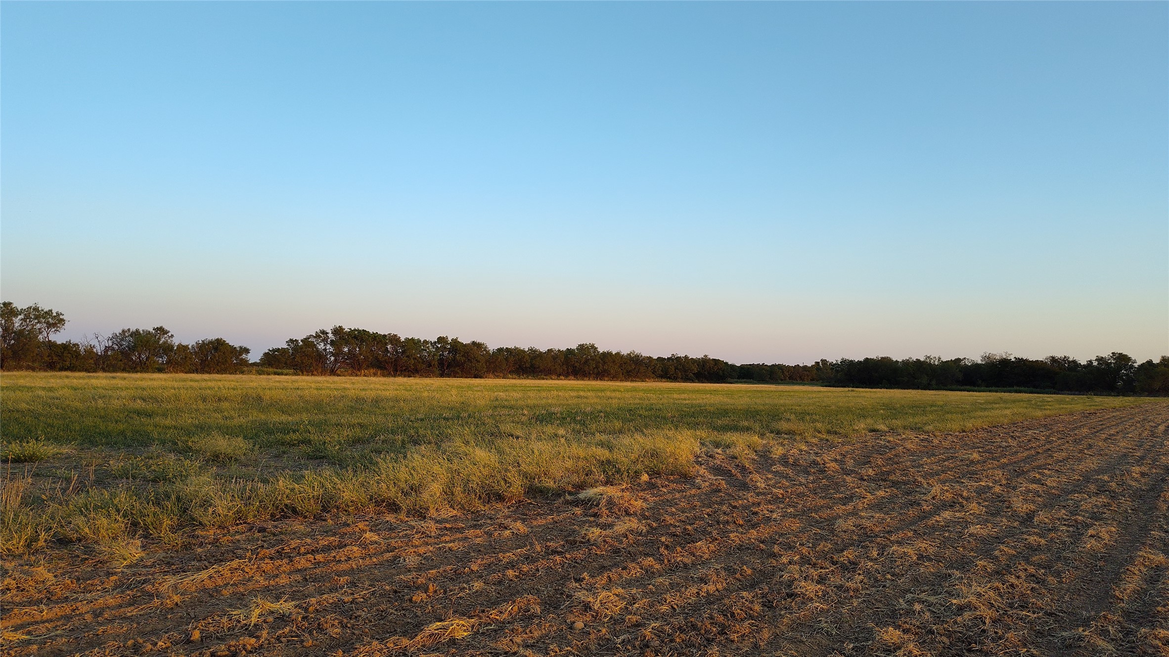 5428 Cr 364 Anson TX 79501
