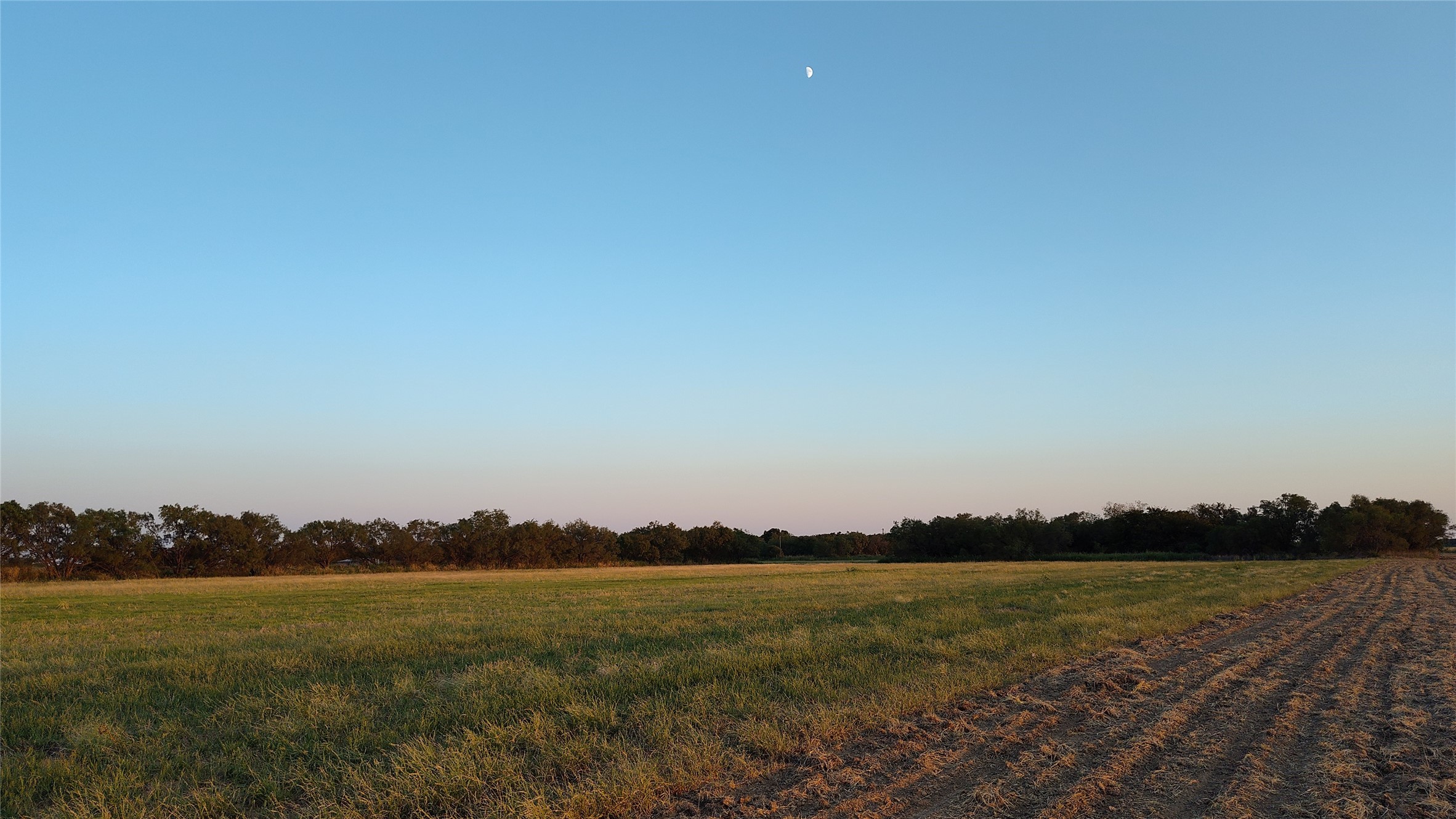5428 Cr 364 Anson TX 79501