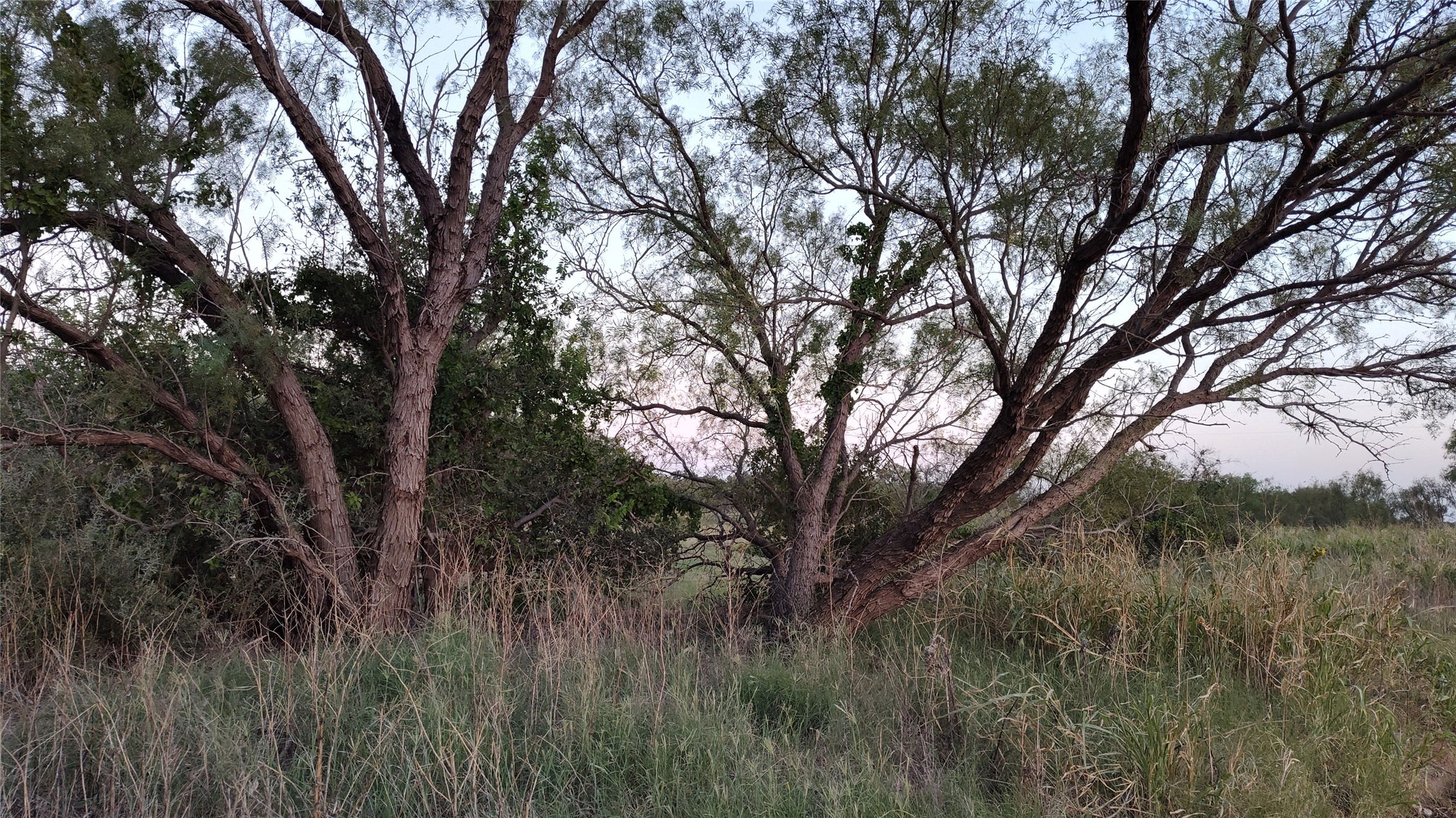 5428 Cr 364 Anson TX 79501