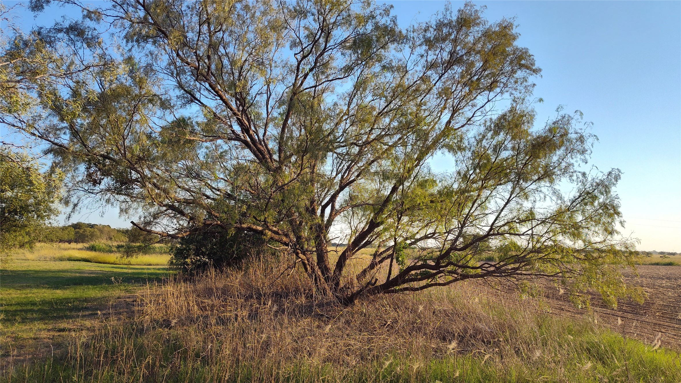 5428 Cr 364 Anson TX 79501