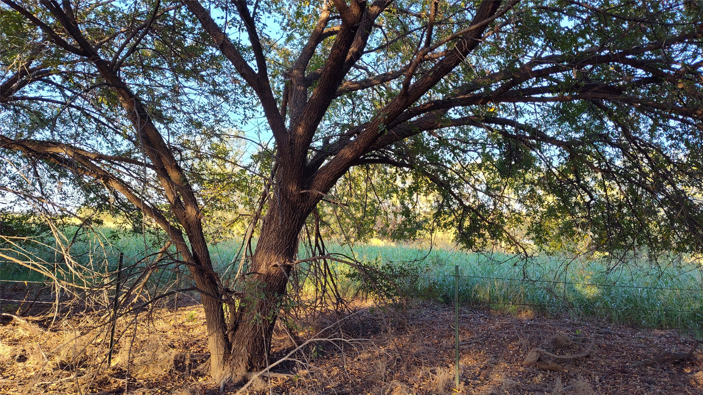 5428 Cr 364 Anson TX 79501