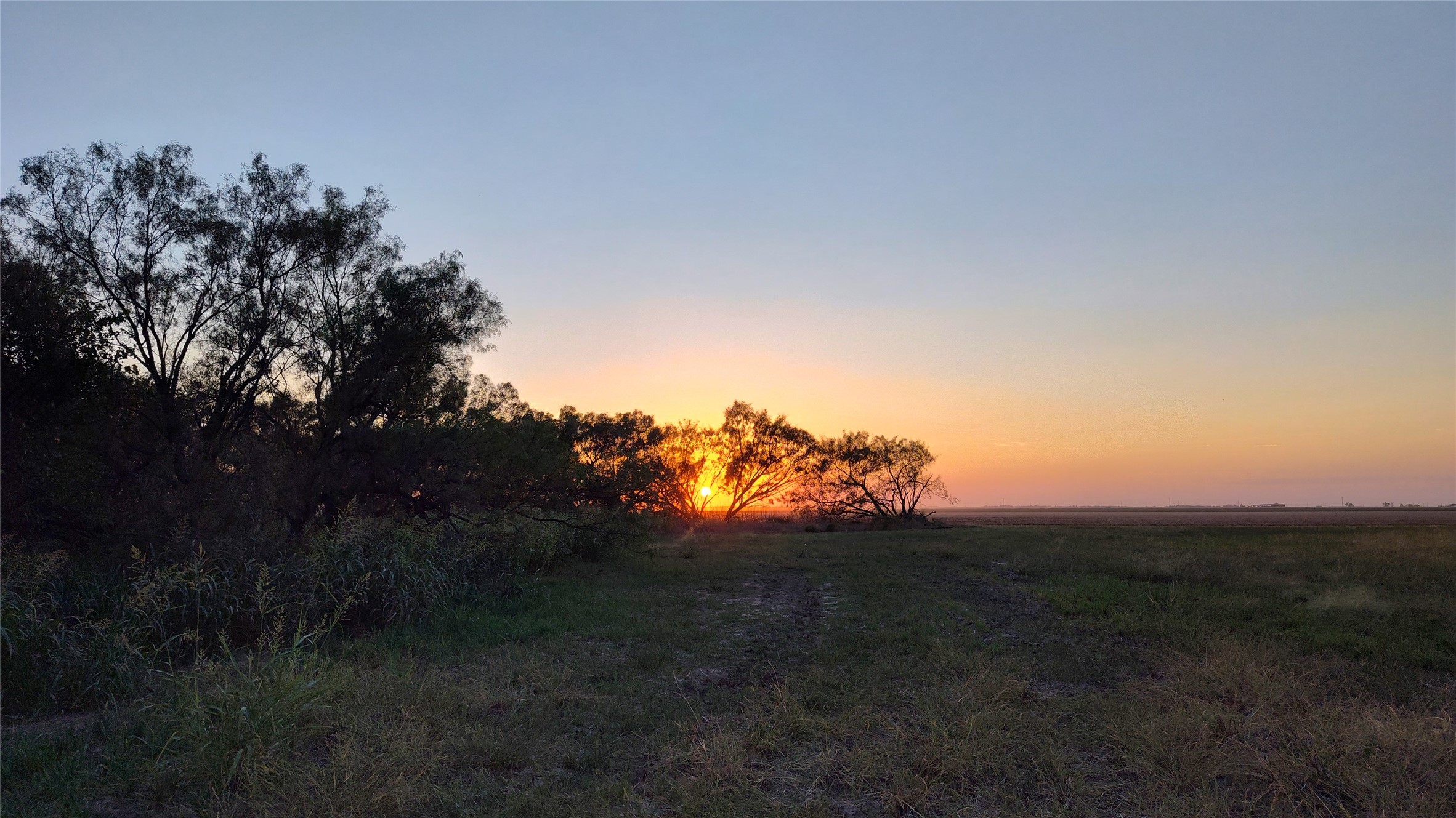 5428 Cr 364 Anson TX 79501