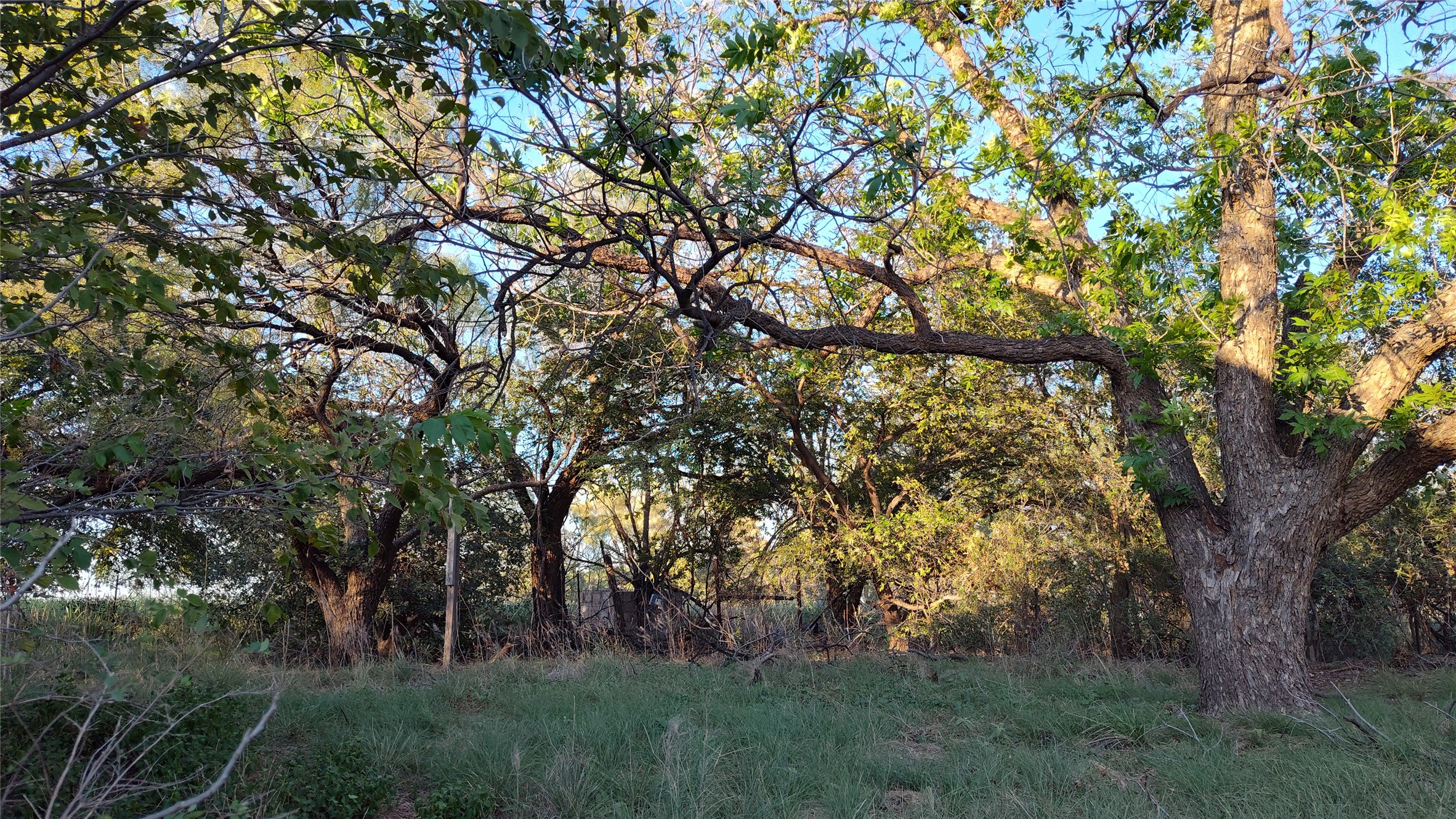 5428 Cr 364 Anson TX 79501