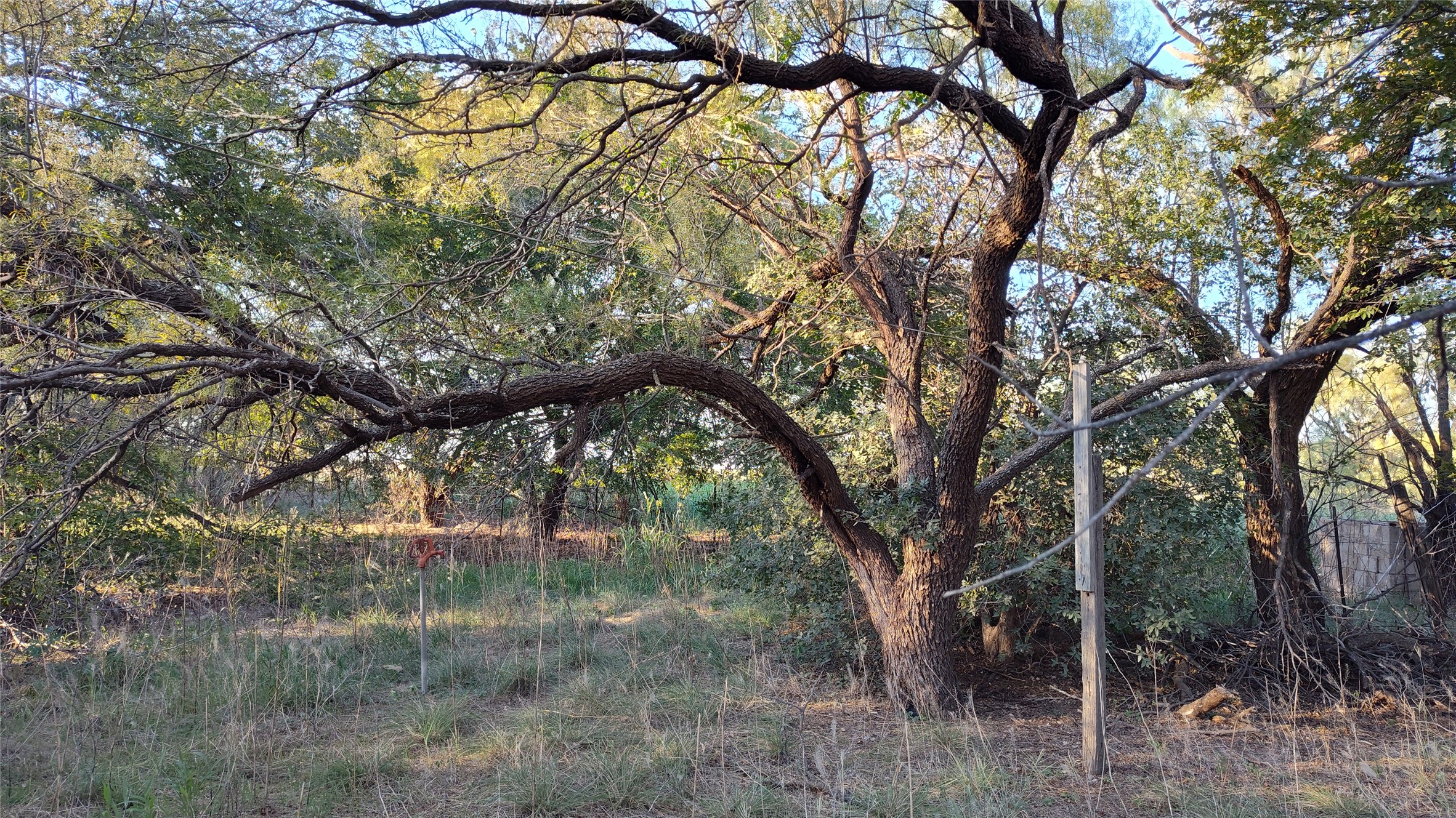 5428 Cr 364 Anson TX 79501