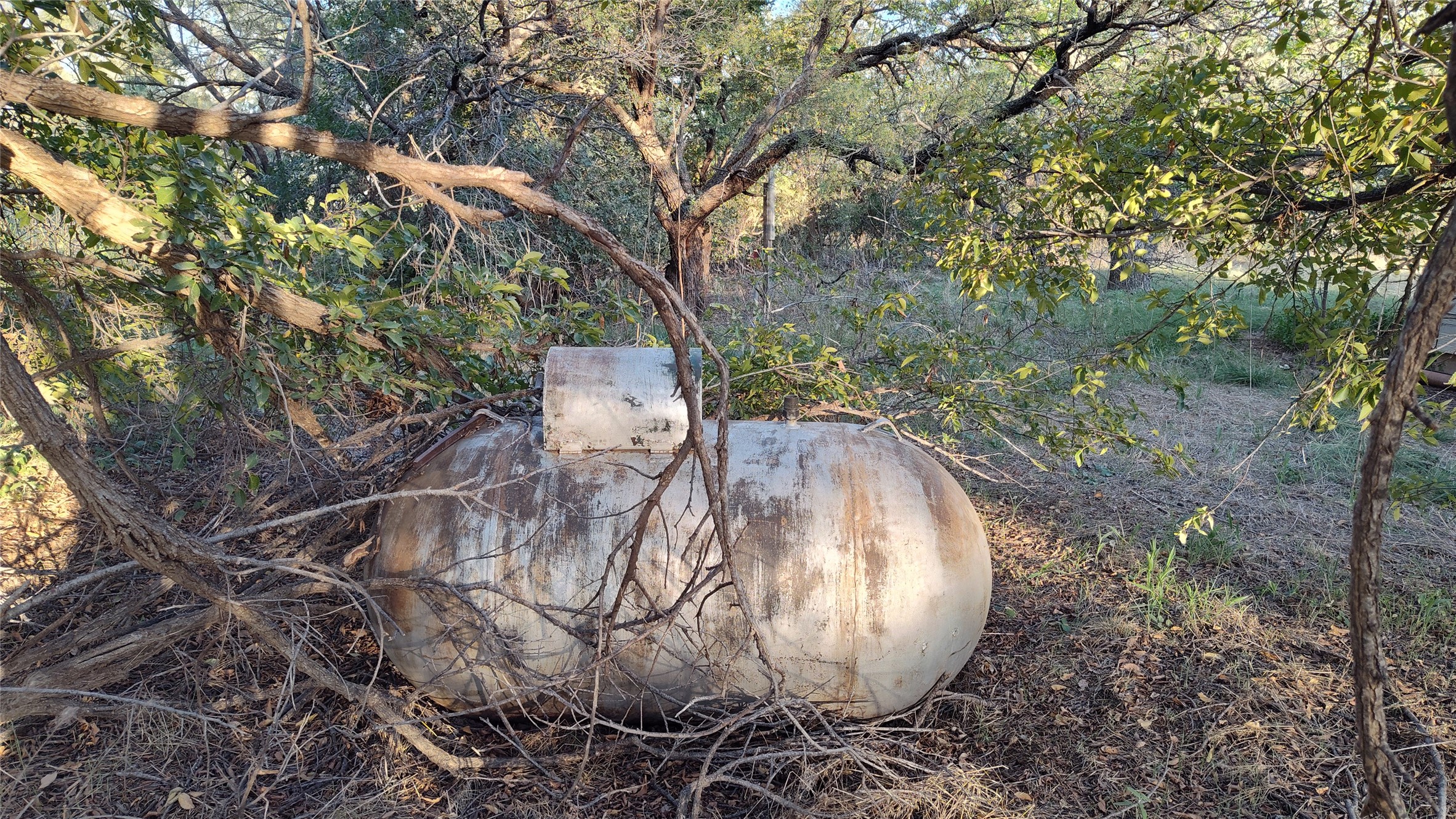 5428 Cr 364 Anson TX 79501
