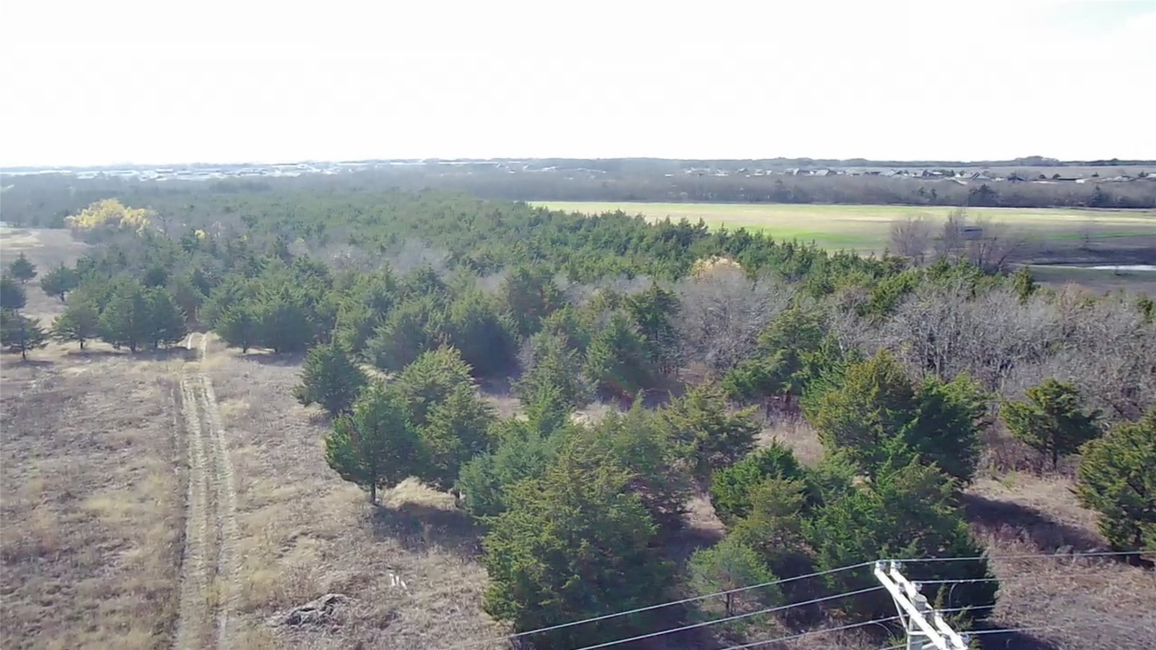 Cr 656 County Road 656 Farmersville TX 75442