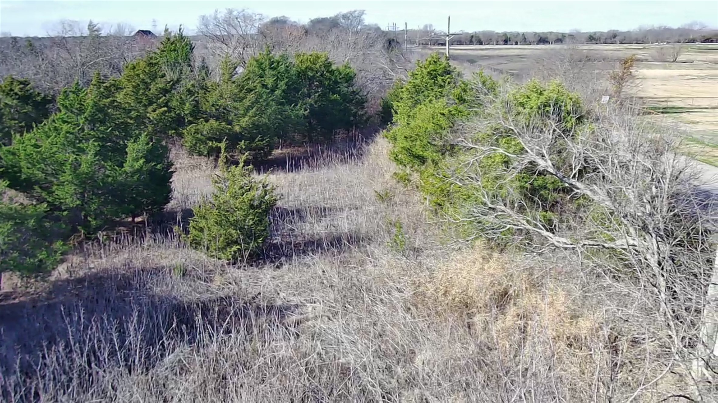 Cr 656 County Road 656 Farmersville TX 75442