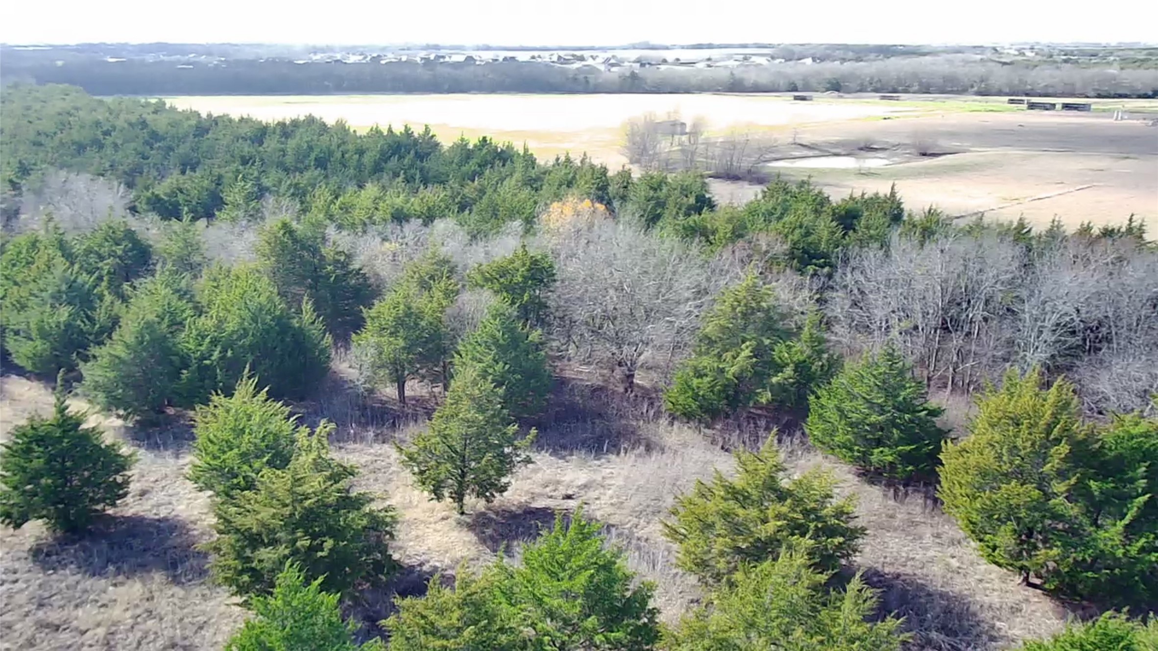 Cr 656 County Road 656 Farmersville TX 75442