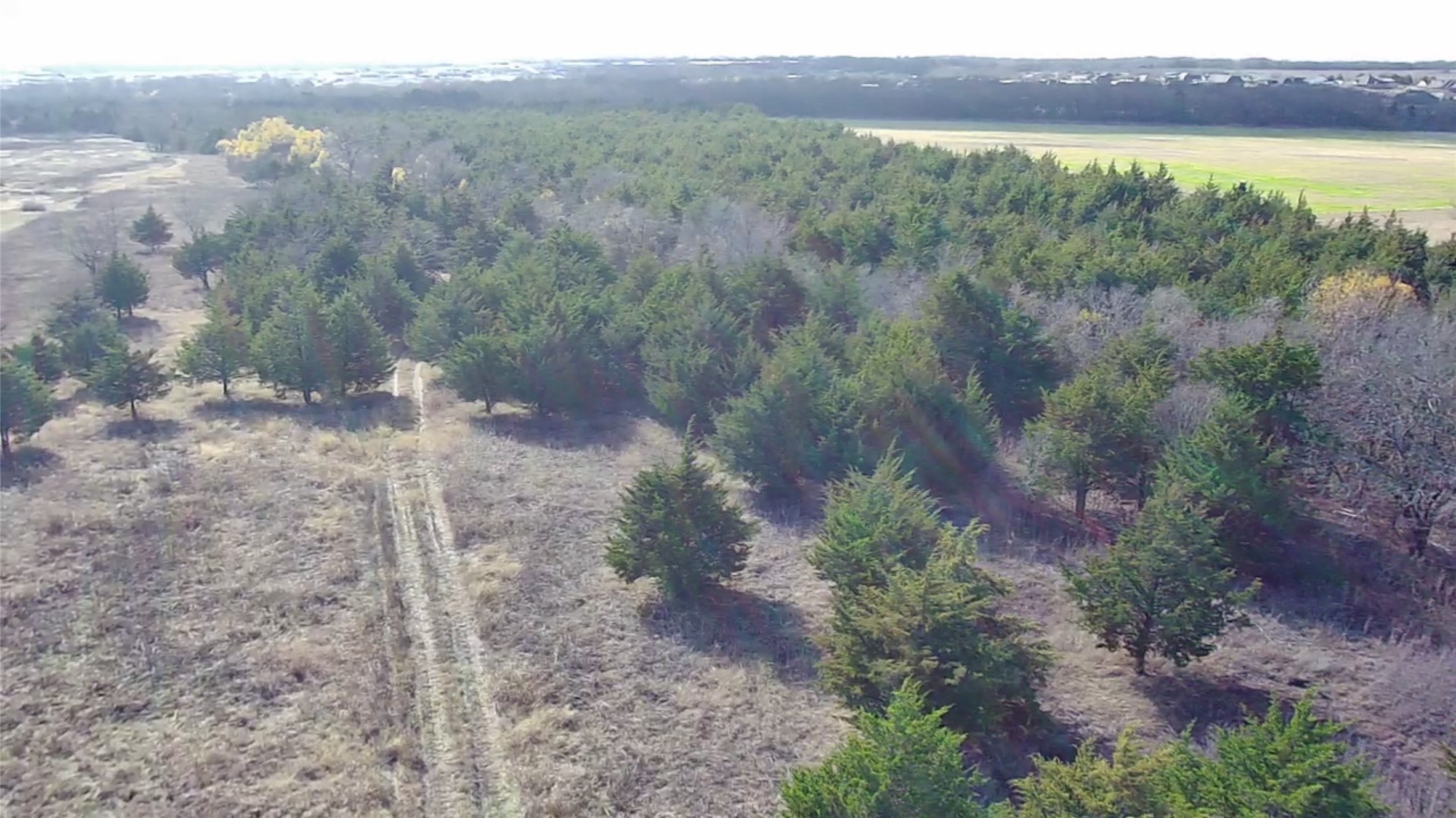 Cr 656 County Road 656 Farmersville TX 75442