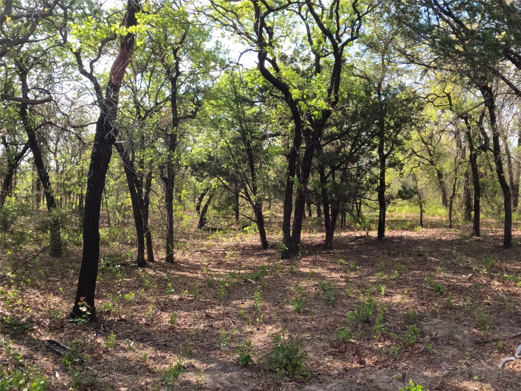 2113 Jeremy Street Tolar TX 76476
