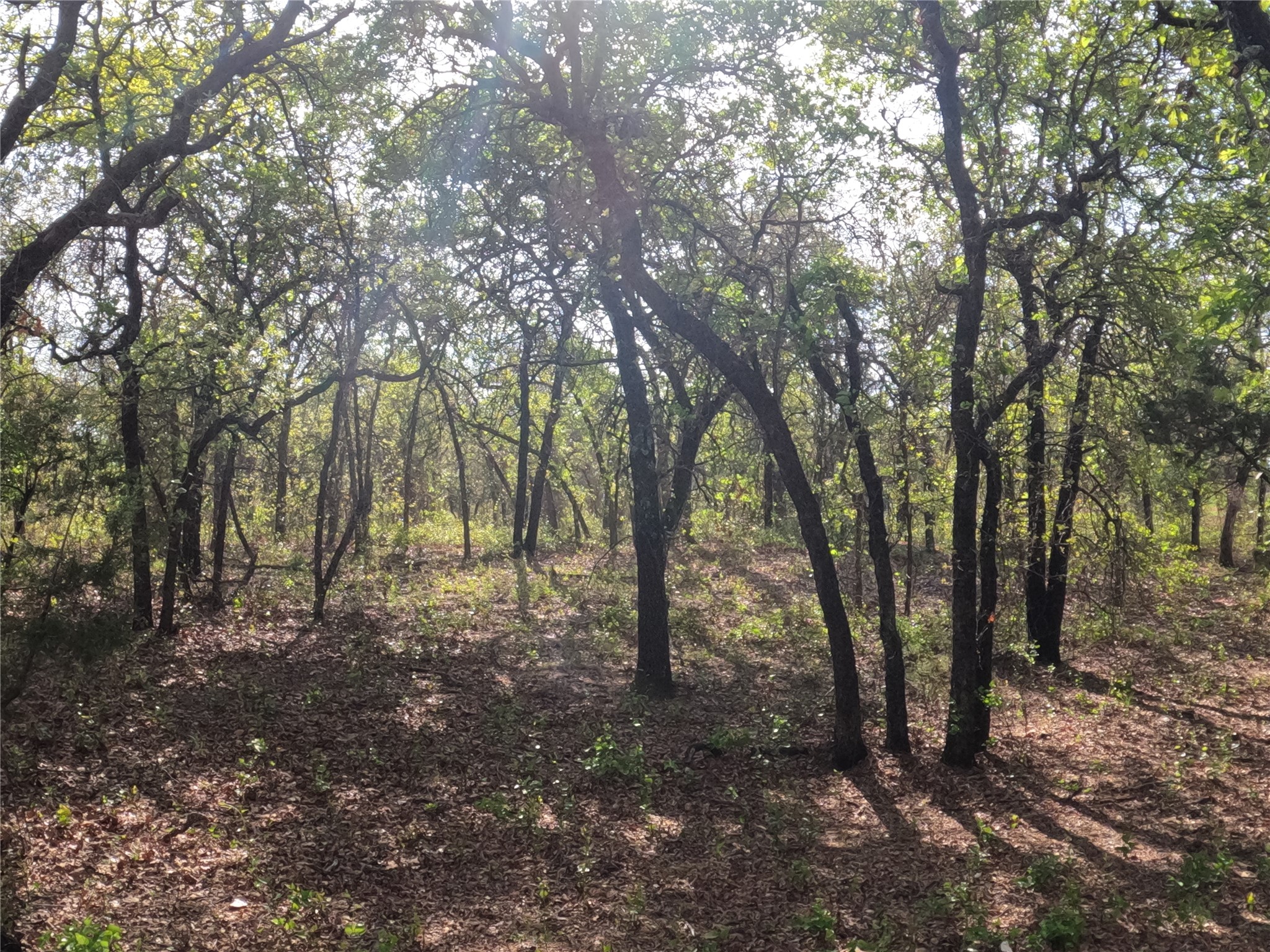 2113 Jeremy Street Tolar TX 76476