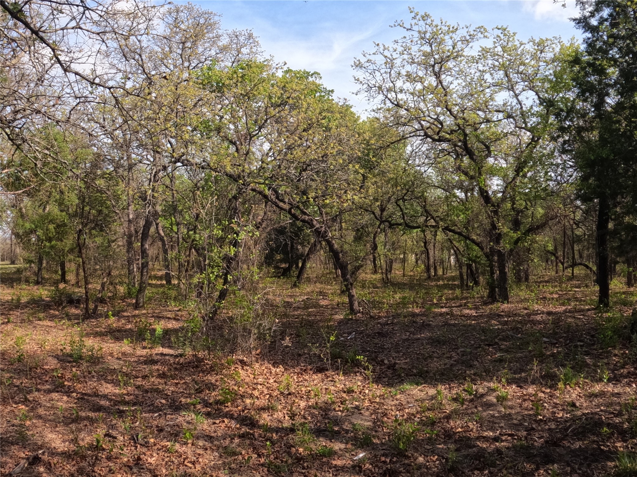 2113 Jeremy Street Tolar TX 76476