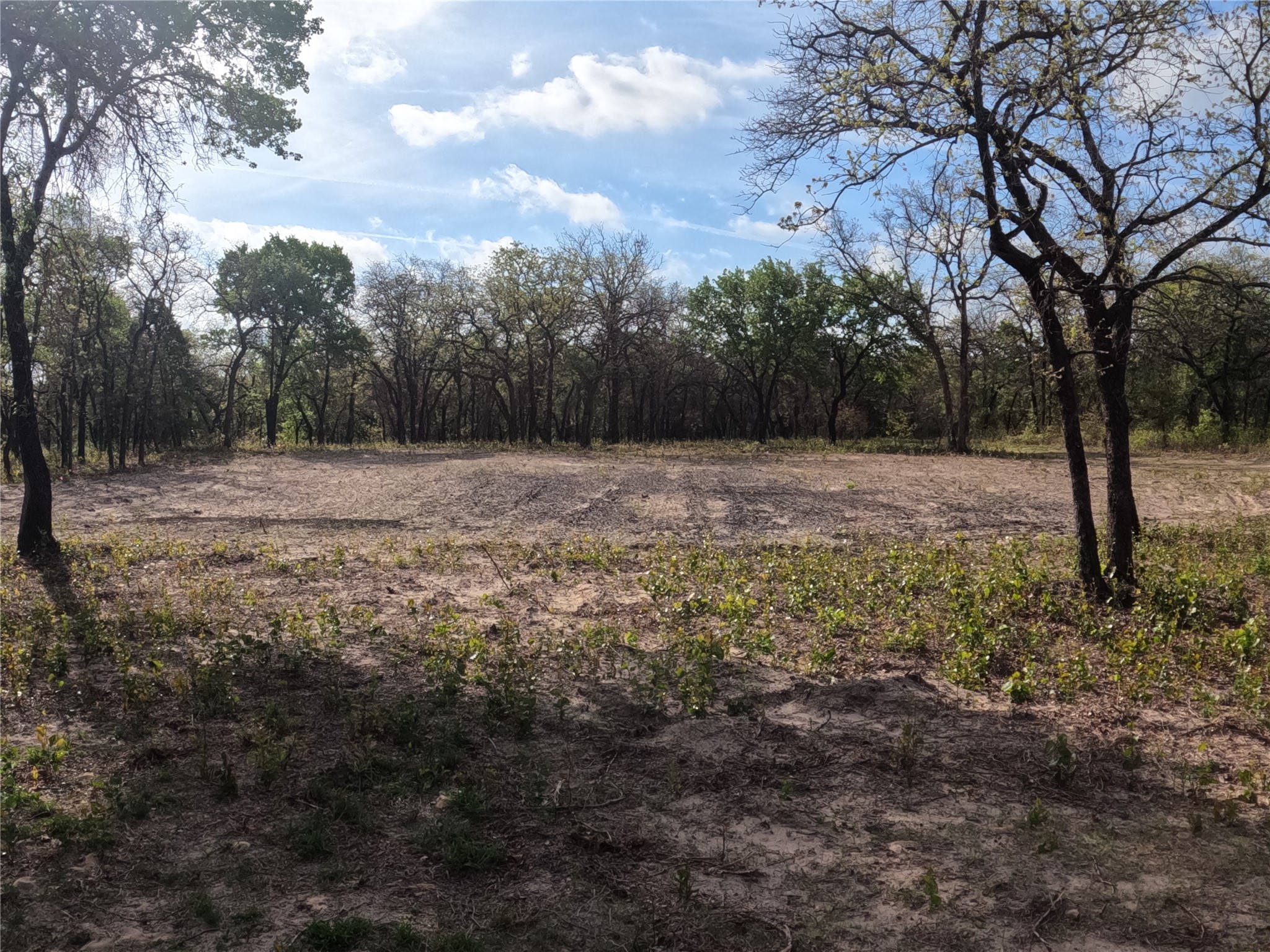 2113 Jeremy Street Tolar TX 76476