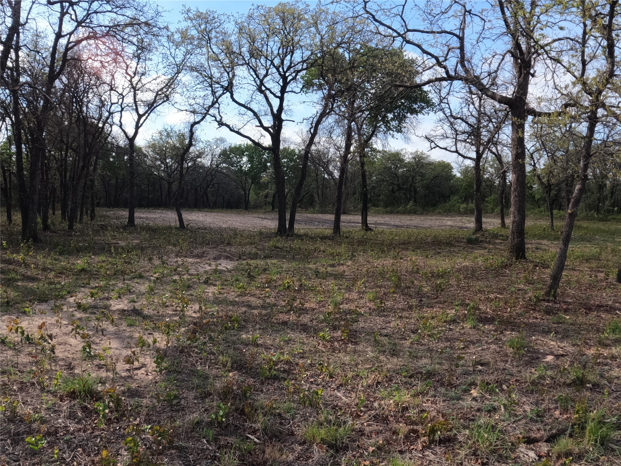2113 Jeremy Street Tolar TX 76476