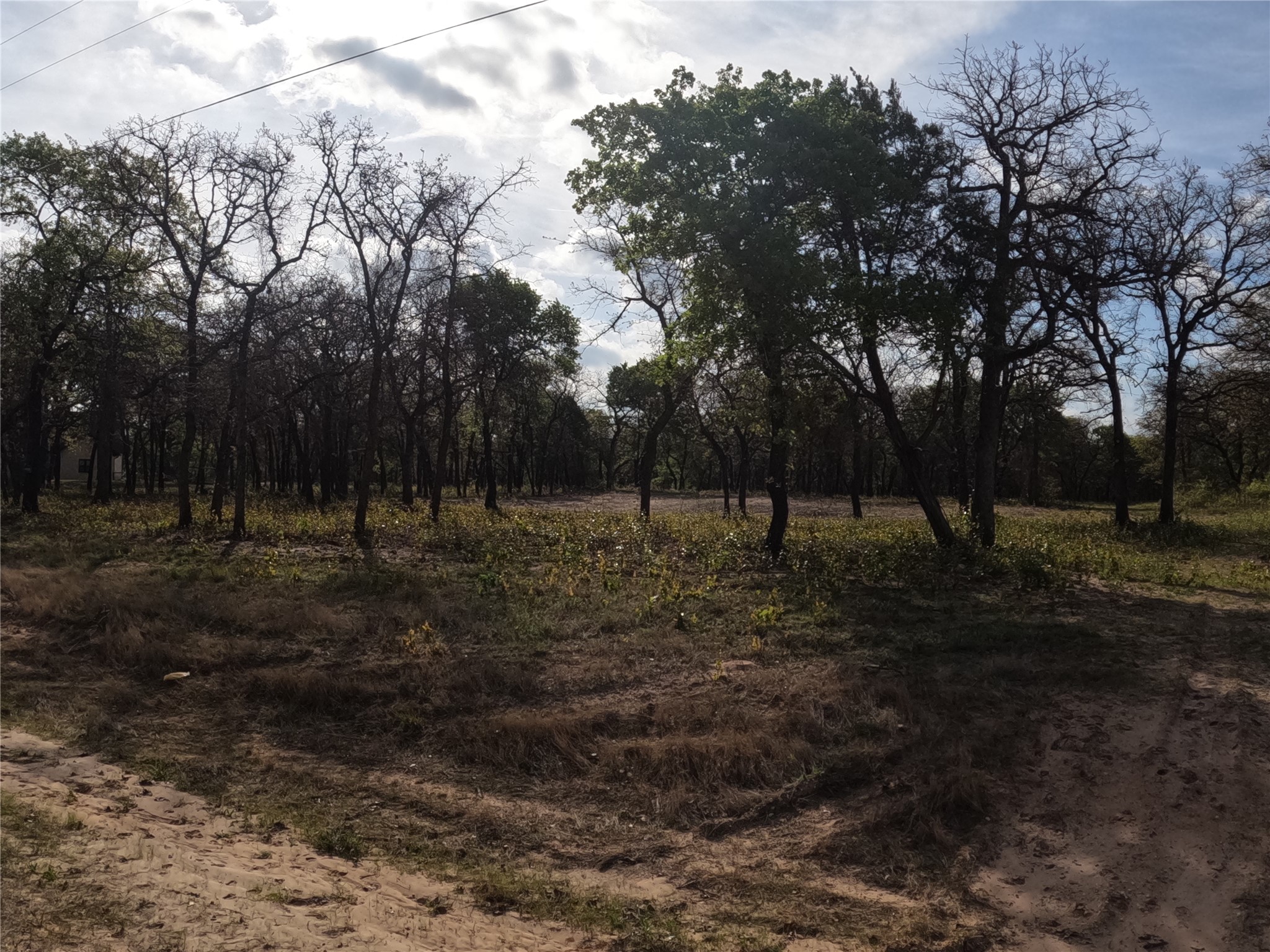 2113 Jeremy Street Tolar TX 76476