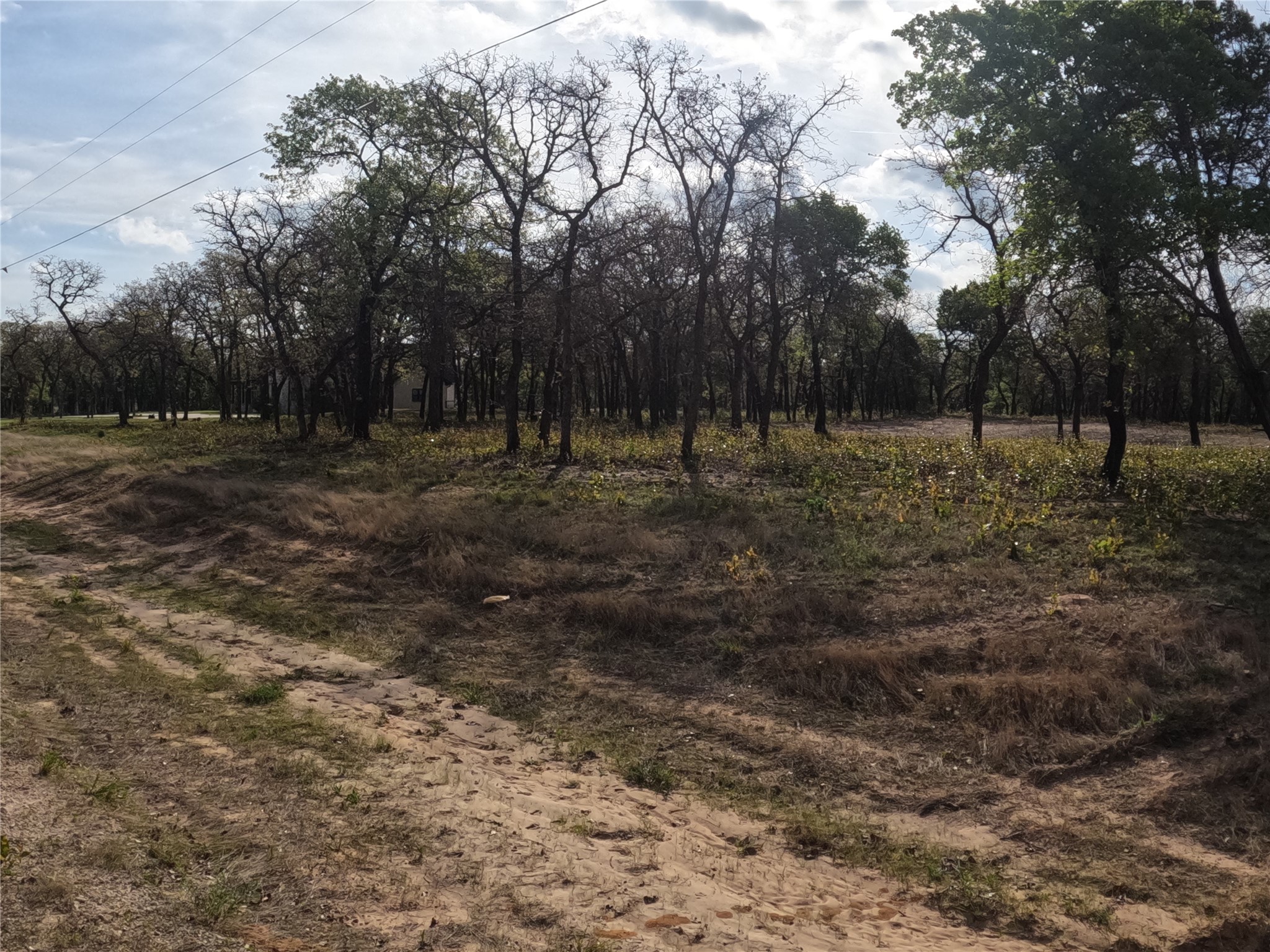 2113 Jeremy Street Tolar TX 76476