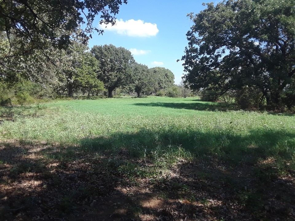 Pr 114 Pr 114 Covington TX 76636
