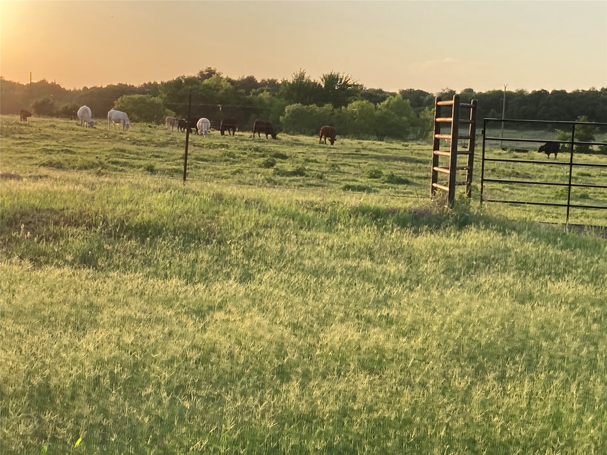 Pr 114 Pr 114 Covington TX 76636