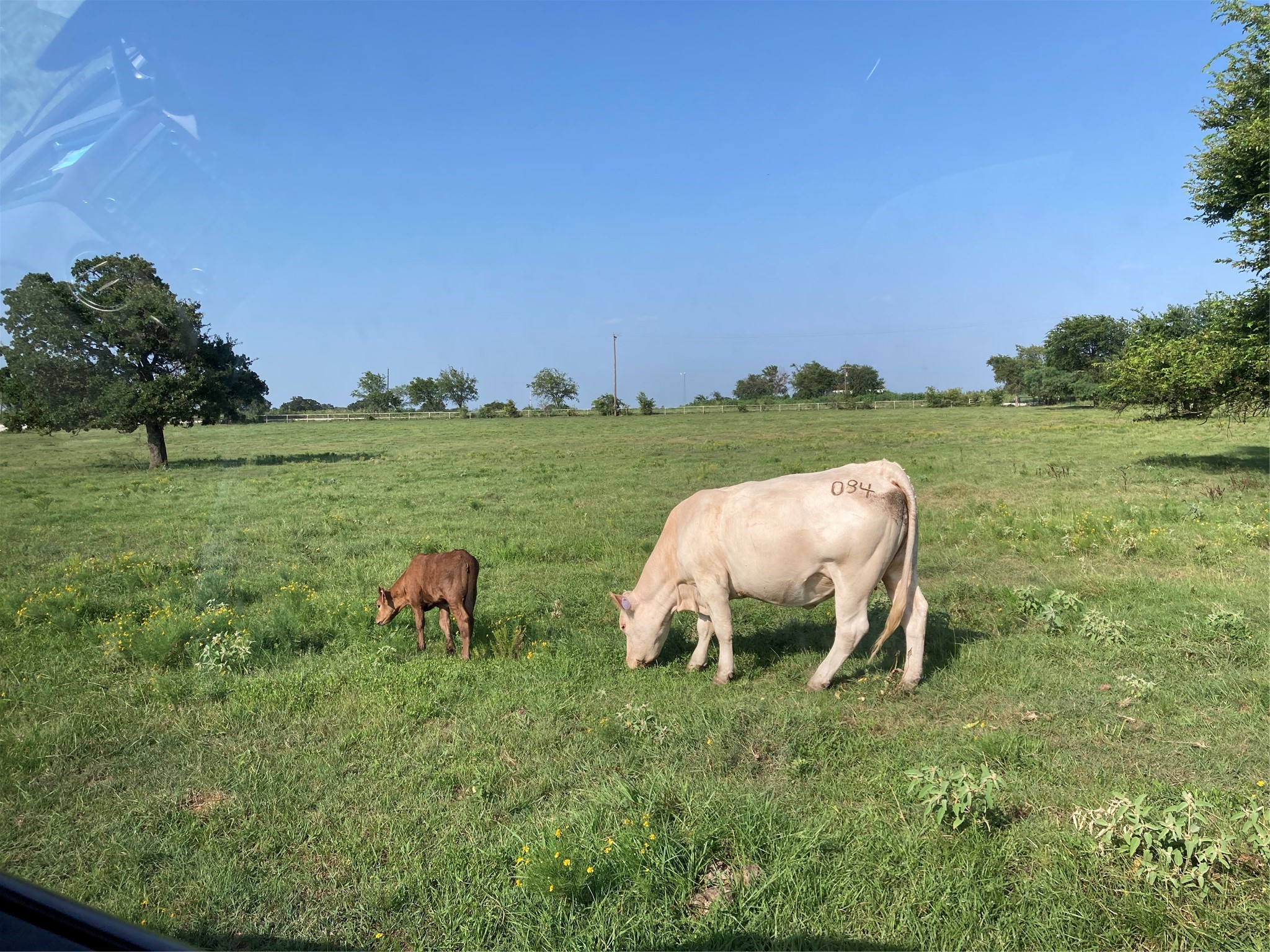 Pr 114 Pr 114 Covington TX 76636