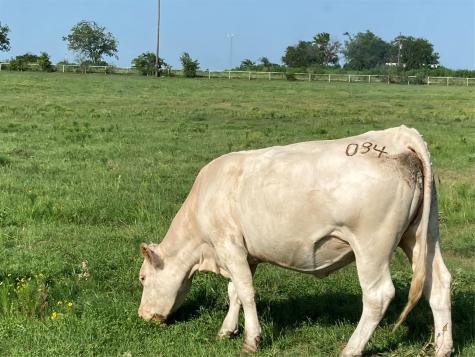 PR 114 Pr 114 Covington TX 76636