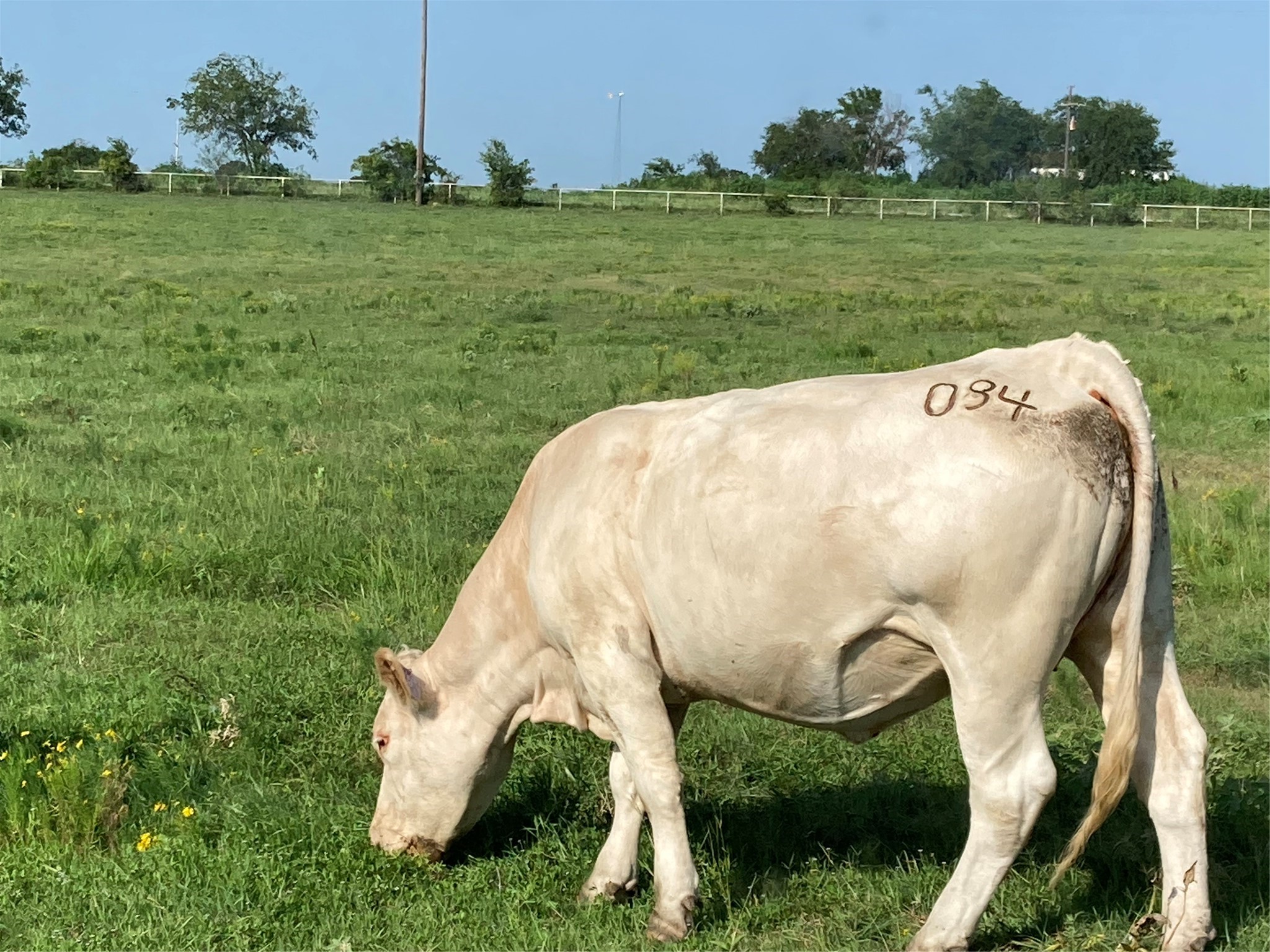 Pr 114 Pr 114 Covington TX 76636