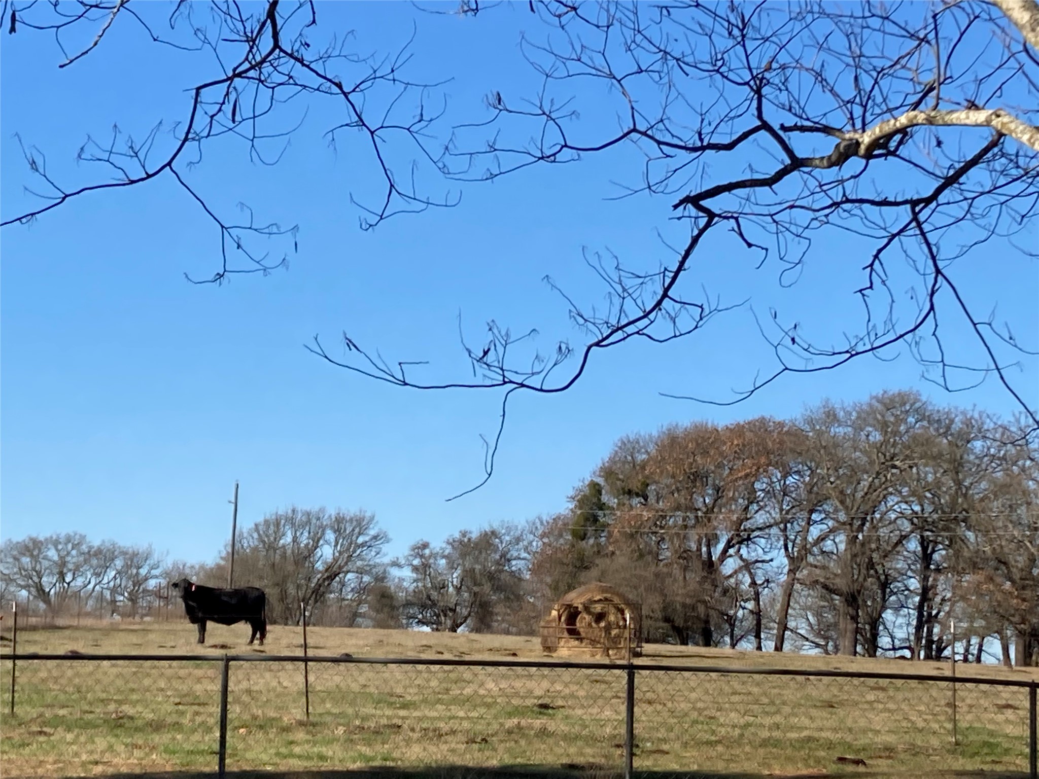 Pr 114 Pr 114 Covington TX 76636