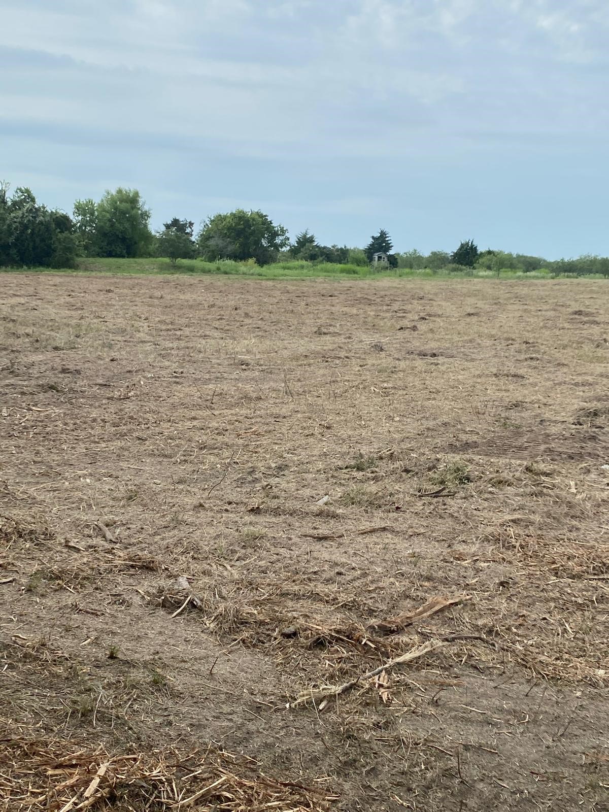 320 Birdwell Road Corsicana TX 75110