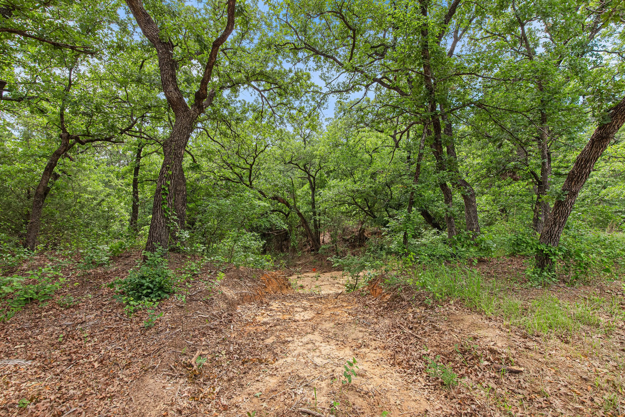 Lot 3 Private Road 3204 Bridgeport TX 76426